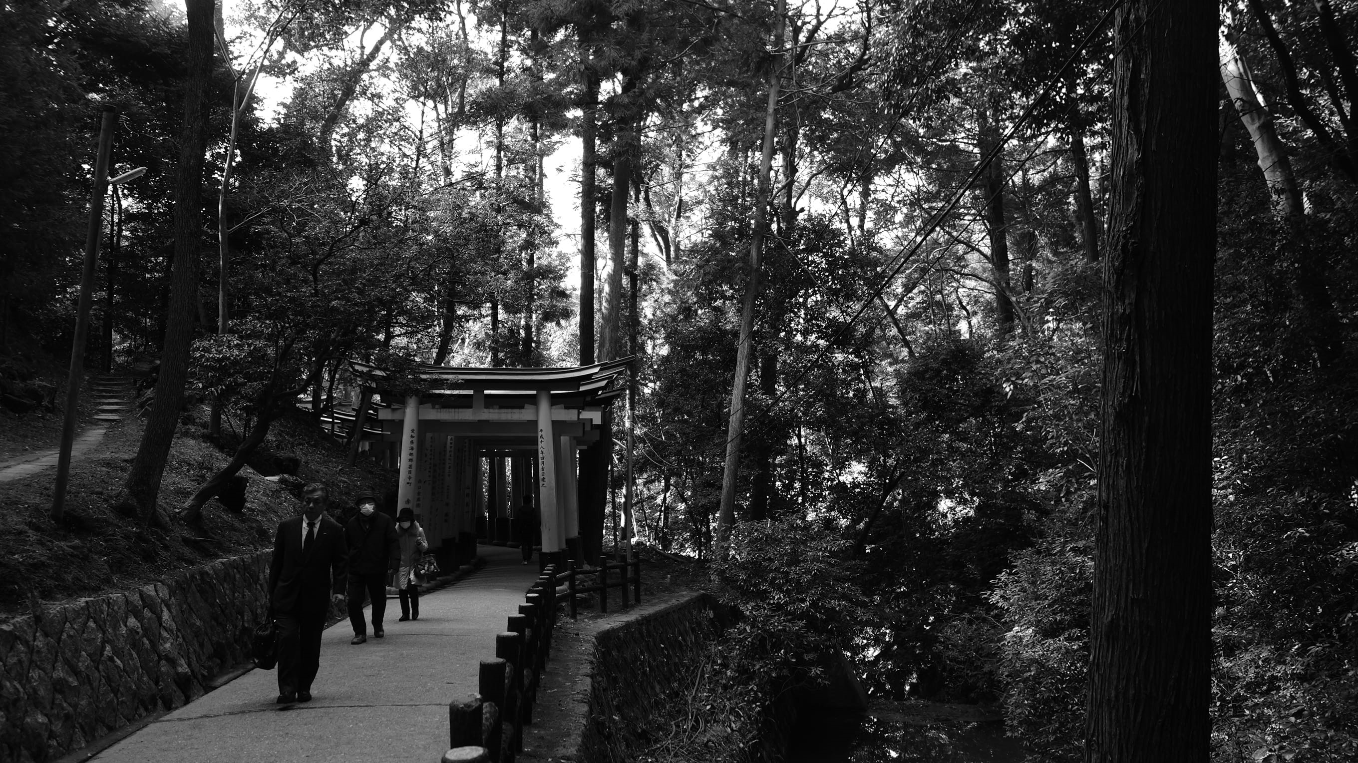 kyōto-shi, real people, day, footpath, tori, people, park, incidental people, tree trunk, plant, building exterior, growth, black, japan, white, fushimi inari taisha, HD Wallpaper