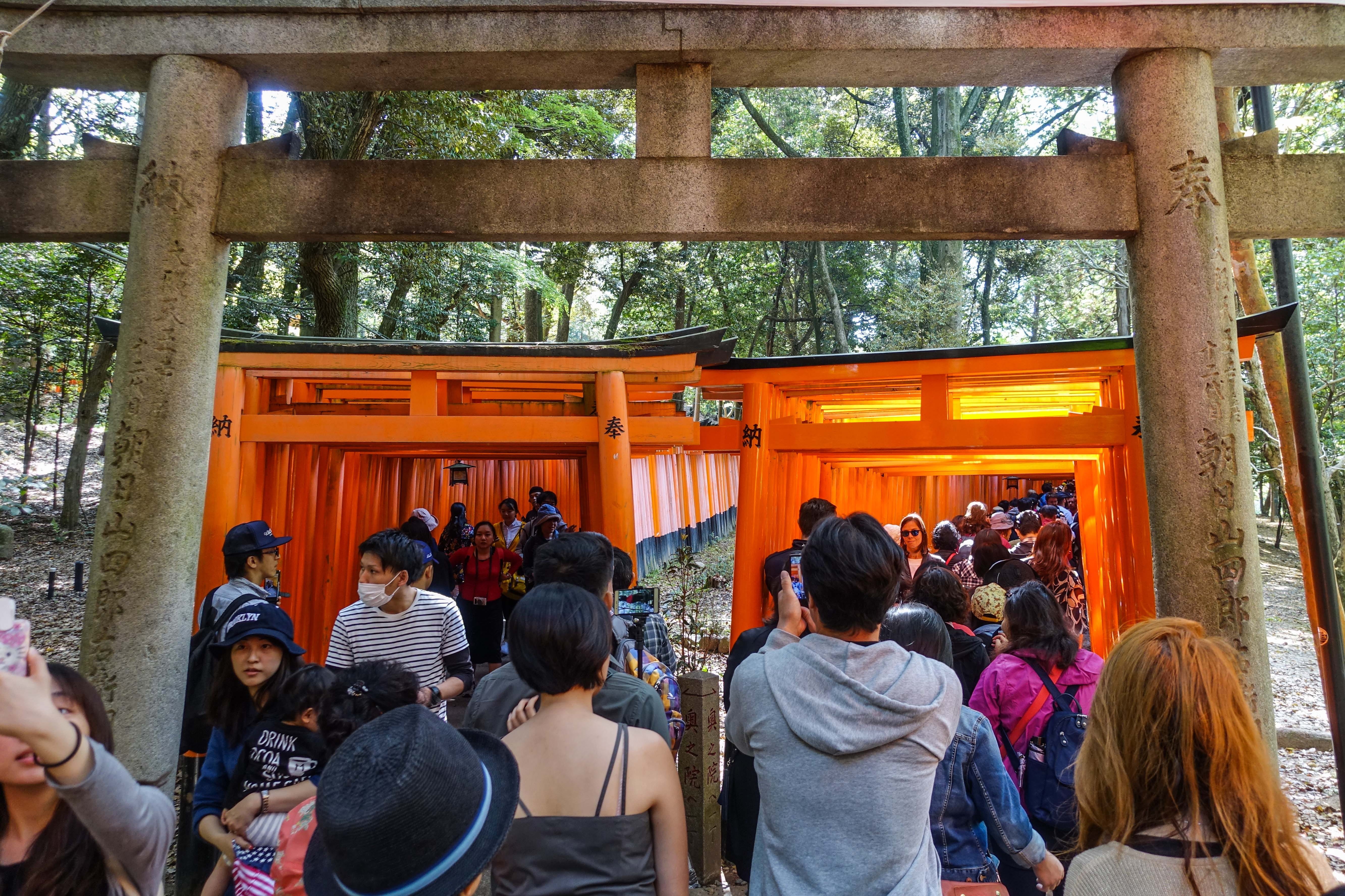 large group of people, adult, religion, japan, leisure activity, crowd, women, place of worship, shrine, travel, lifestyles, belief, built structure, 5K, HD Wallpaper