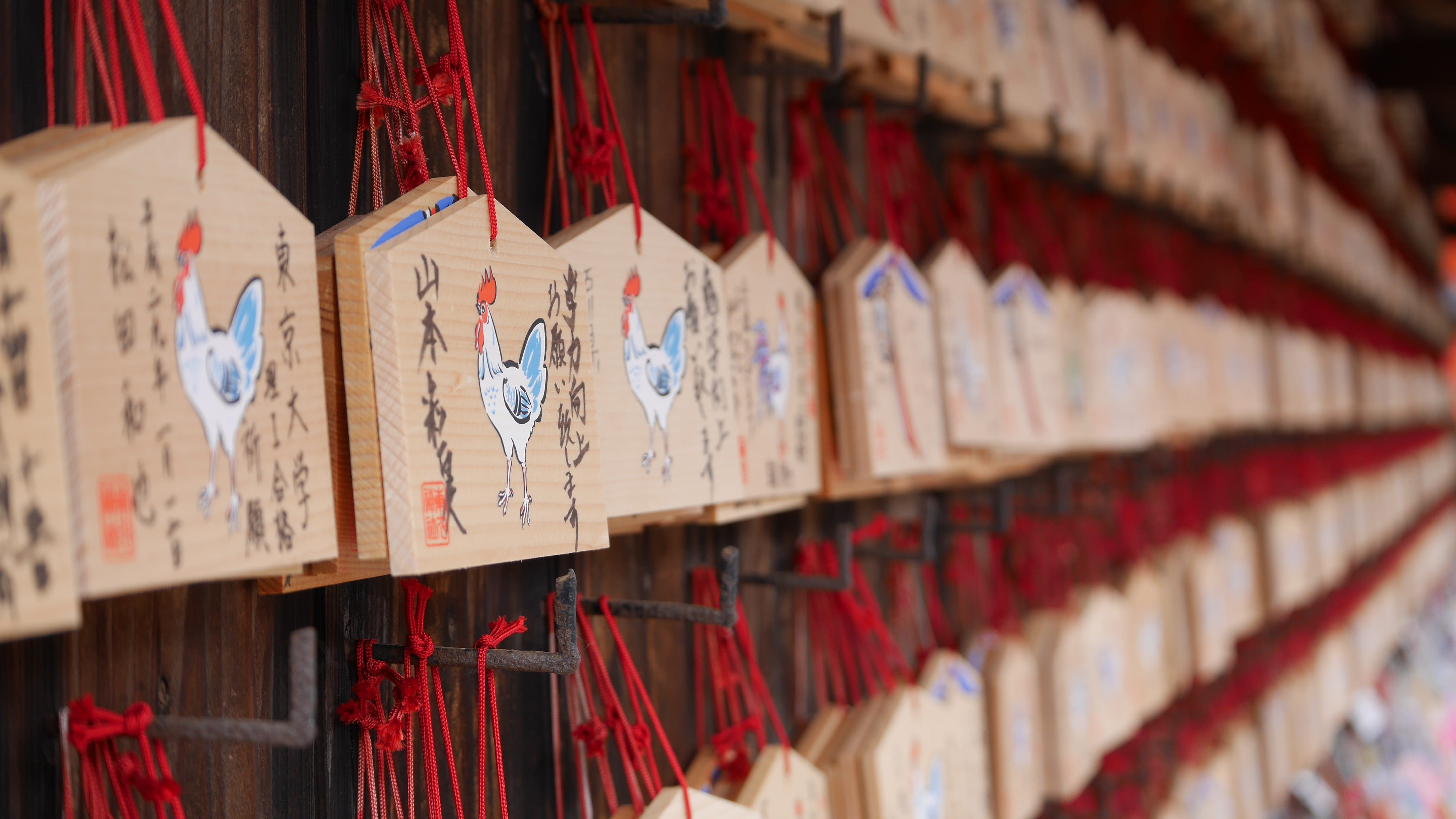 hanging, religious equipment, gifts, abundance, order, full frame, spirituality, wooden, wood, 4K, chicken, no people, wood - material, large group of objects, HD Wallpaper