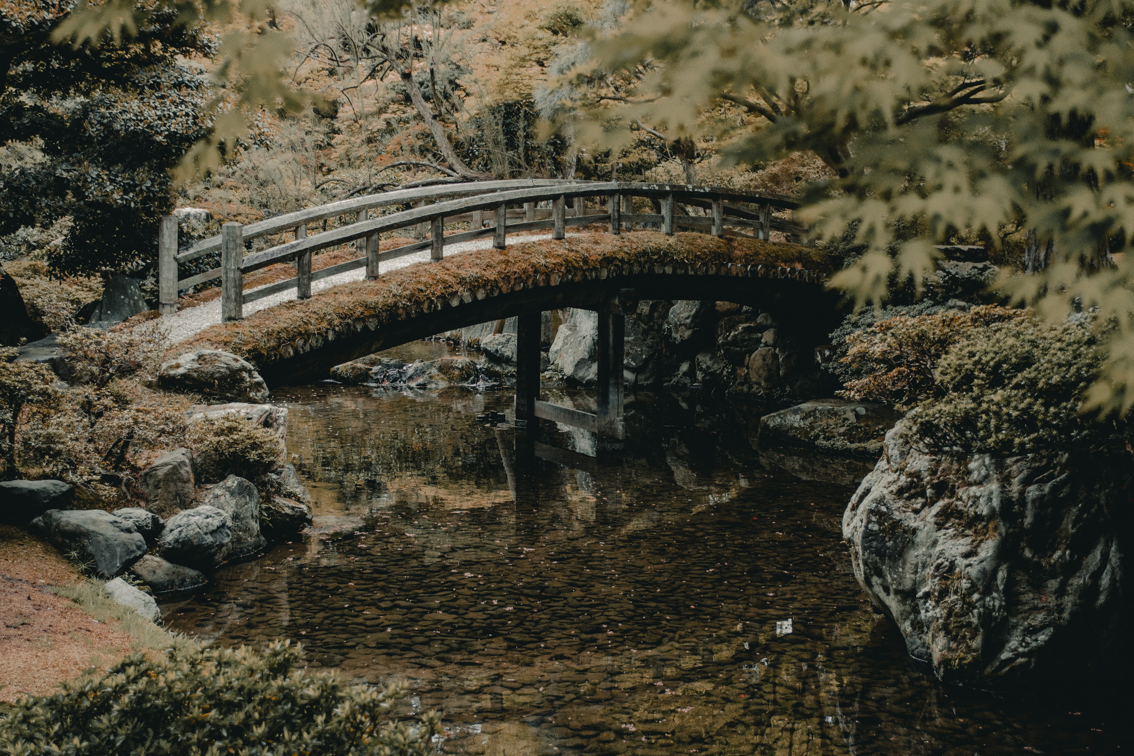rock - object, escape, building, day, tokyo, transportation, architecture, plant, clear, kyoto, connection, fushimi inari-taisha, rocks, arch, rain, arched, HD Wallpaper