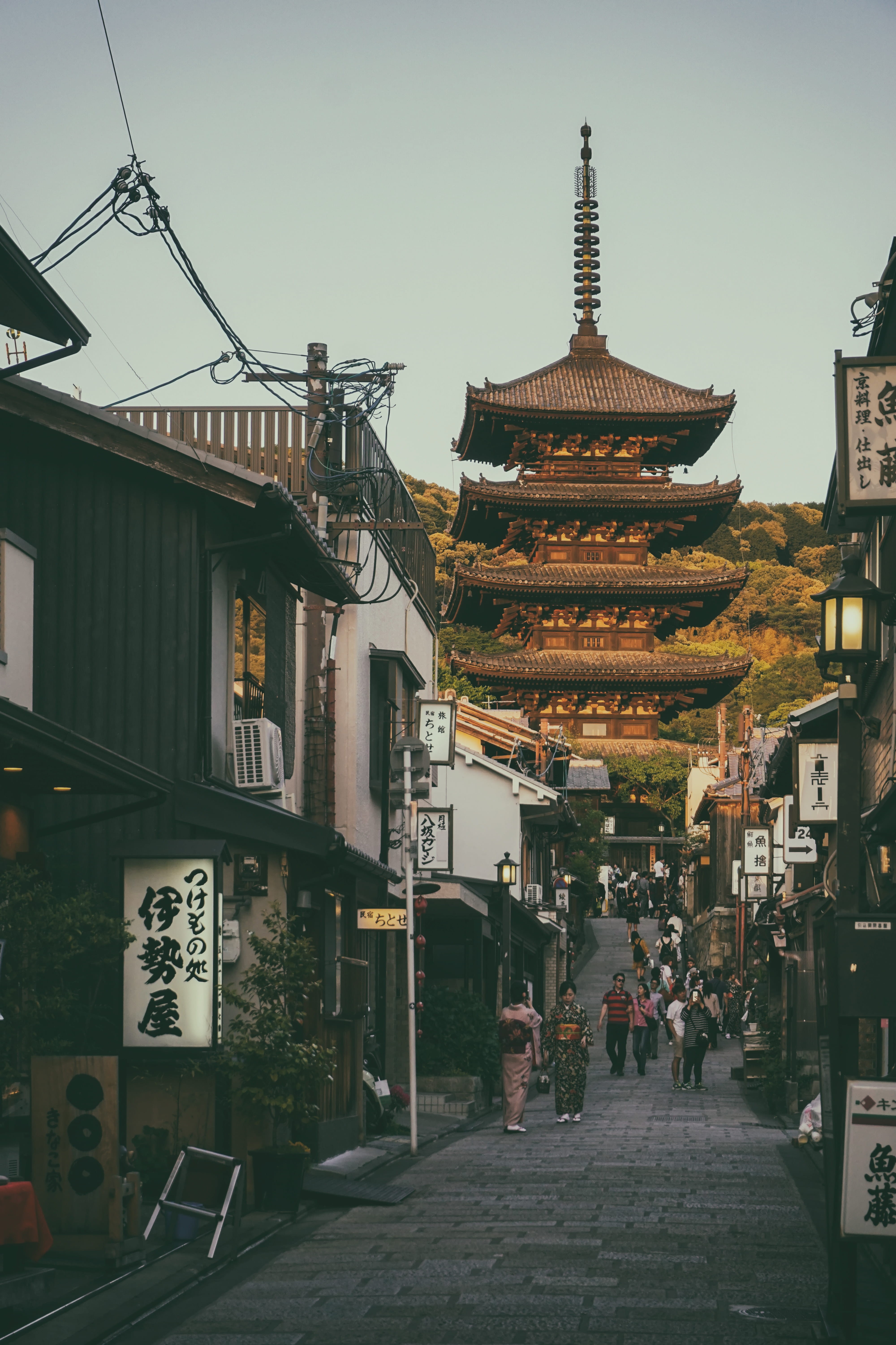 asia, tourism, pathway, outdoors, built Structure, nature, non-western script, japan, pagoda, text, history, building Exterior, walking, travel Destinations, Phone HD Wallpaper