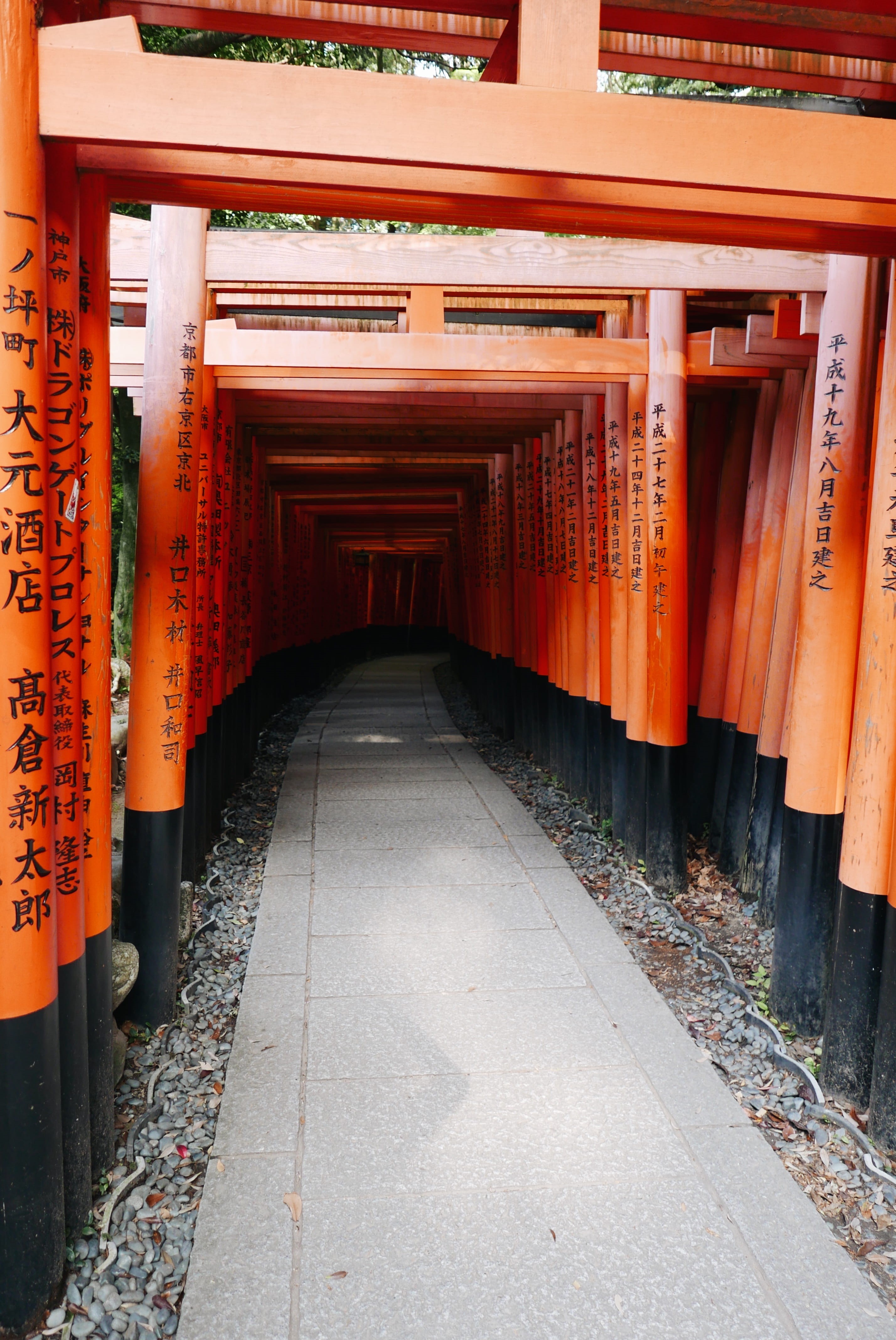 diminishing perspective, religion, taisha, the way forward, shrine, in a row, shrines, inari, direction, japan, photography, outdoors, script, asia, built structure, Phone HD Wallpaper