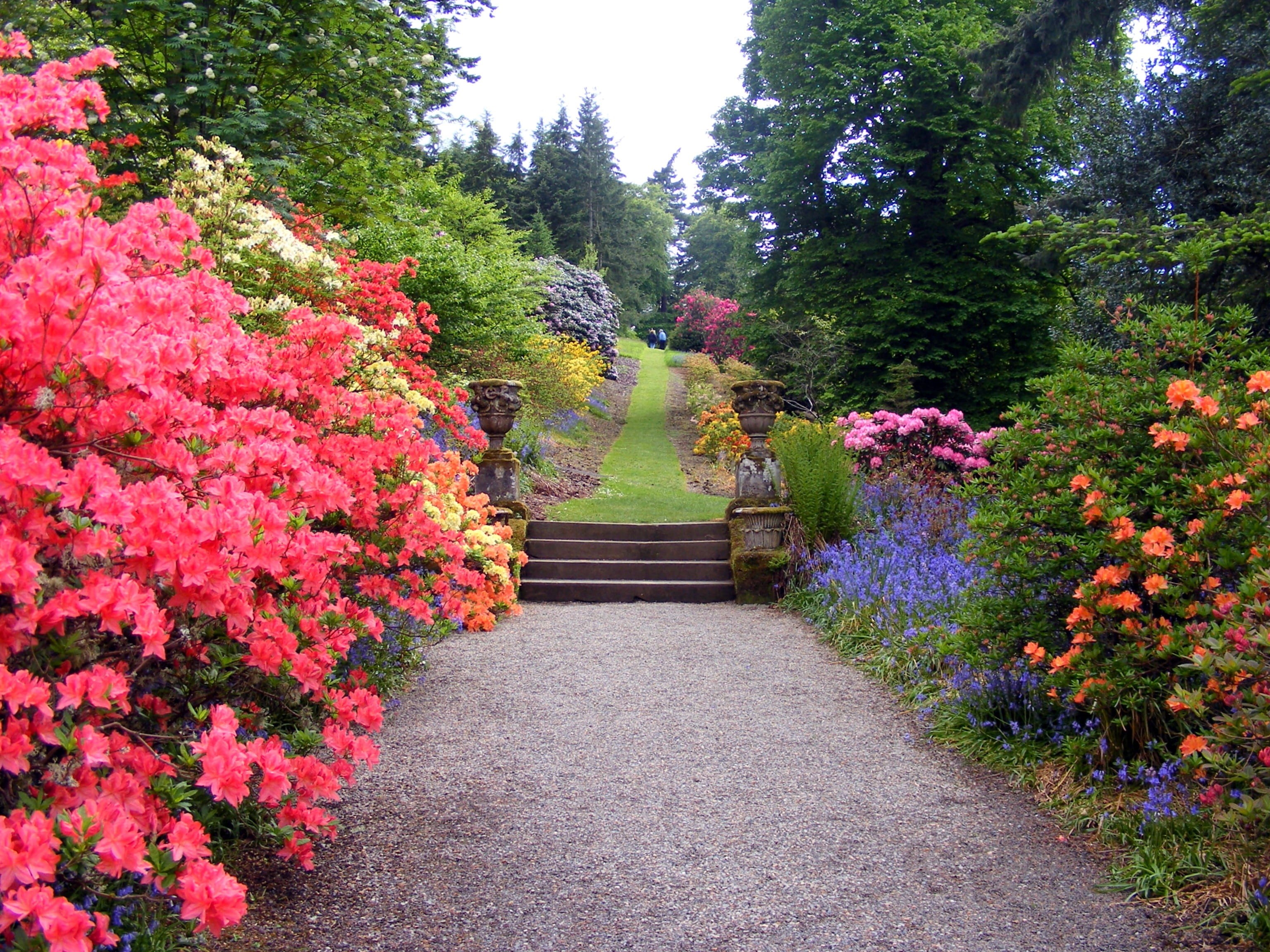 design, flowers, day, flower, steps, orange, landscaped, plant, the way forward, park, tree, flowerbed, garden path, petaled, outdoors, diminishing perspective, HD Wallpaper