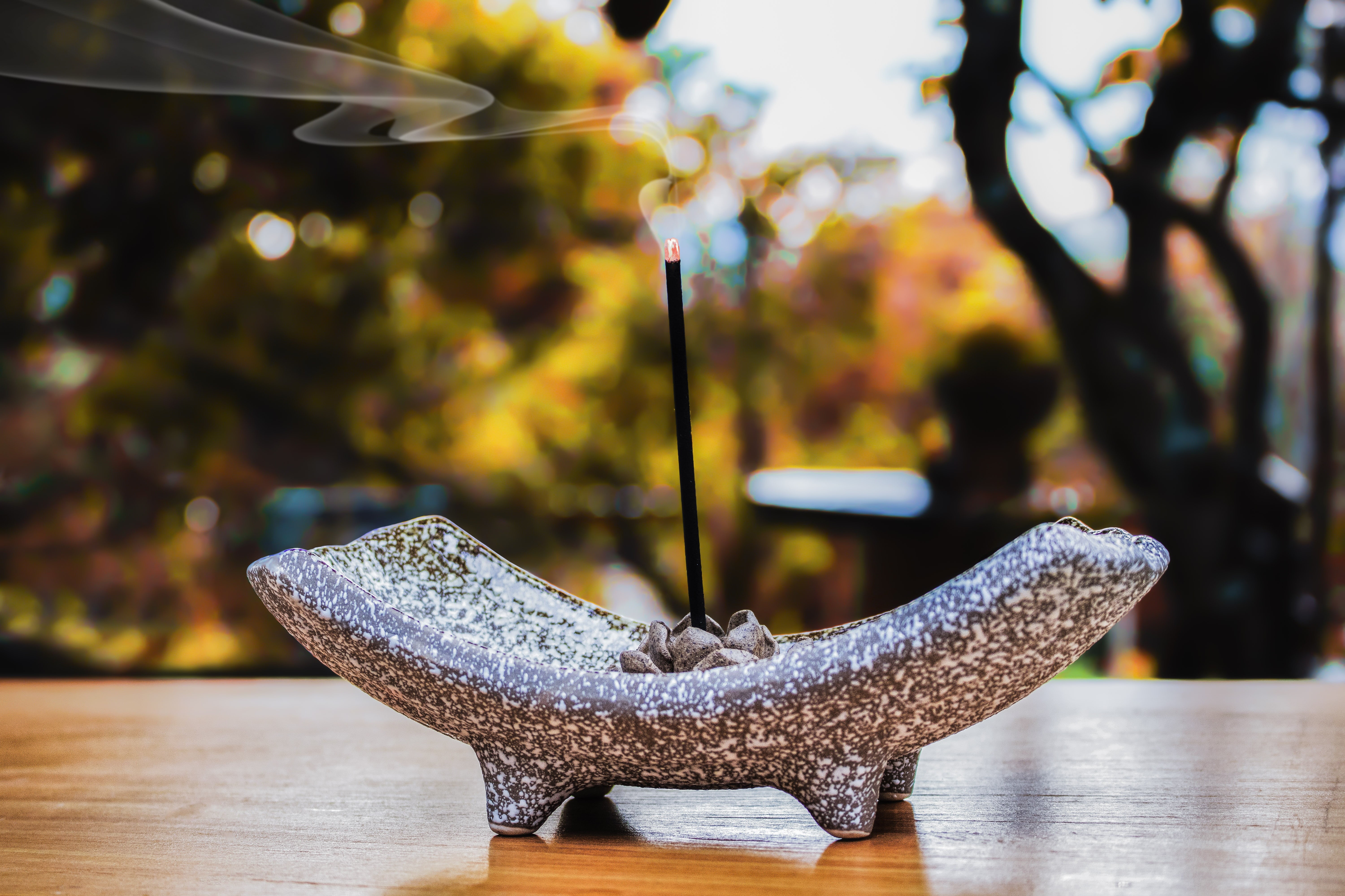 burning incense, lighted, illuminated, animal, reflection, focus on foreground, decoration, culture, traditional, focus, outdoors, joss, selective, close-up, HD Wallpaper