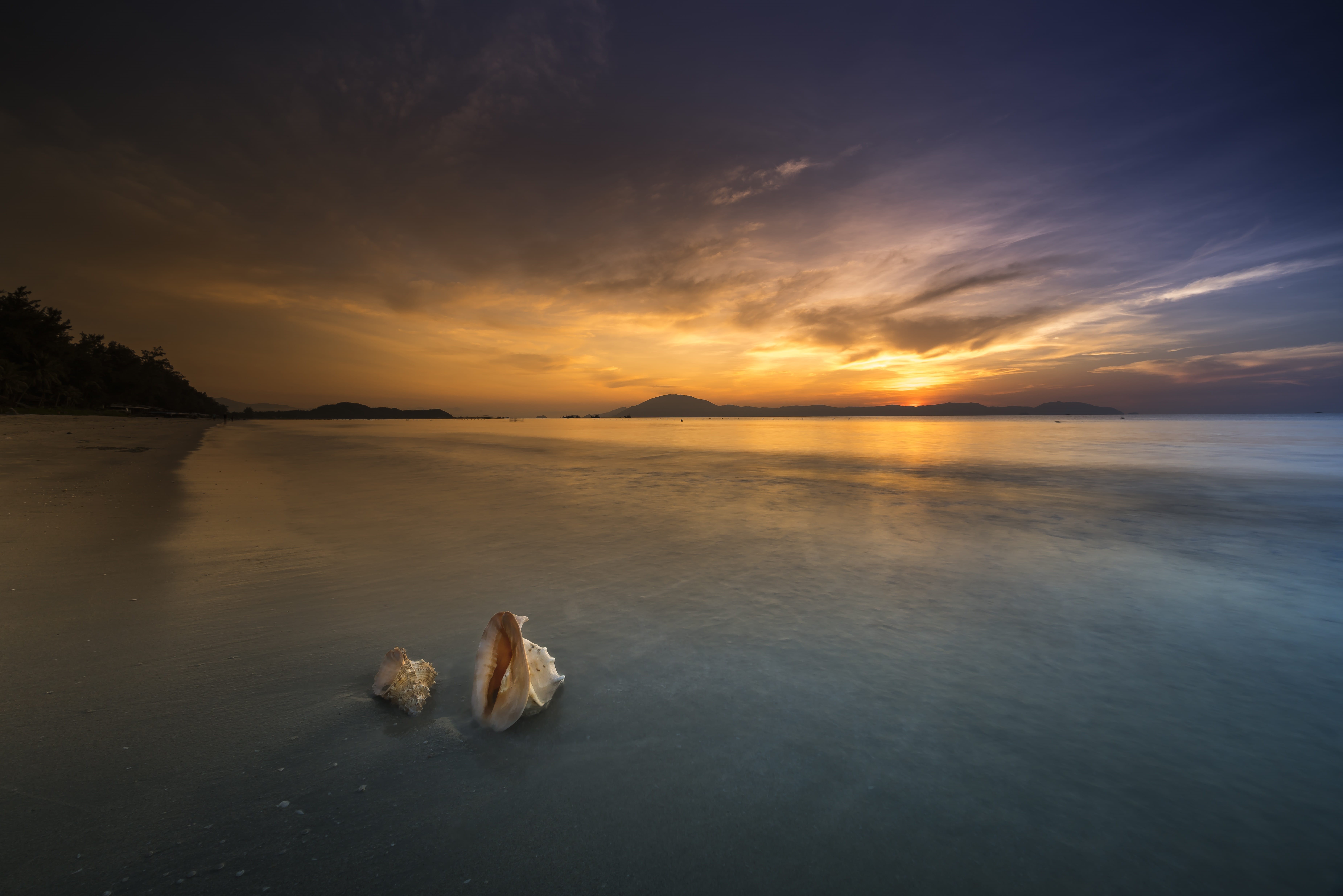 tranquility, sunset, tranquil scene, animal shell, the coast line, holiday, nature, sky, outdoors, photography, scenics - nature, cloud - sky, the sea, HD Wallpaper