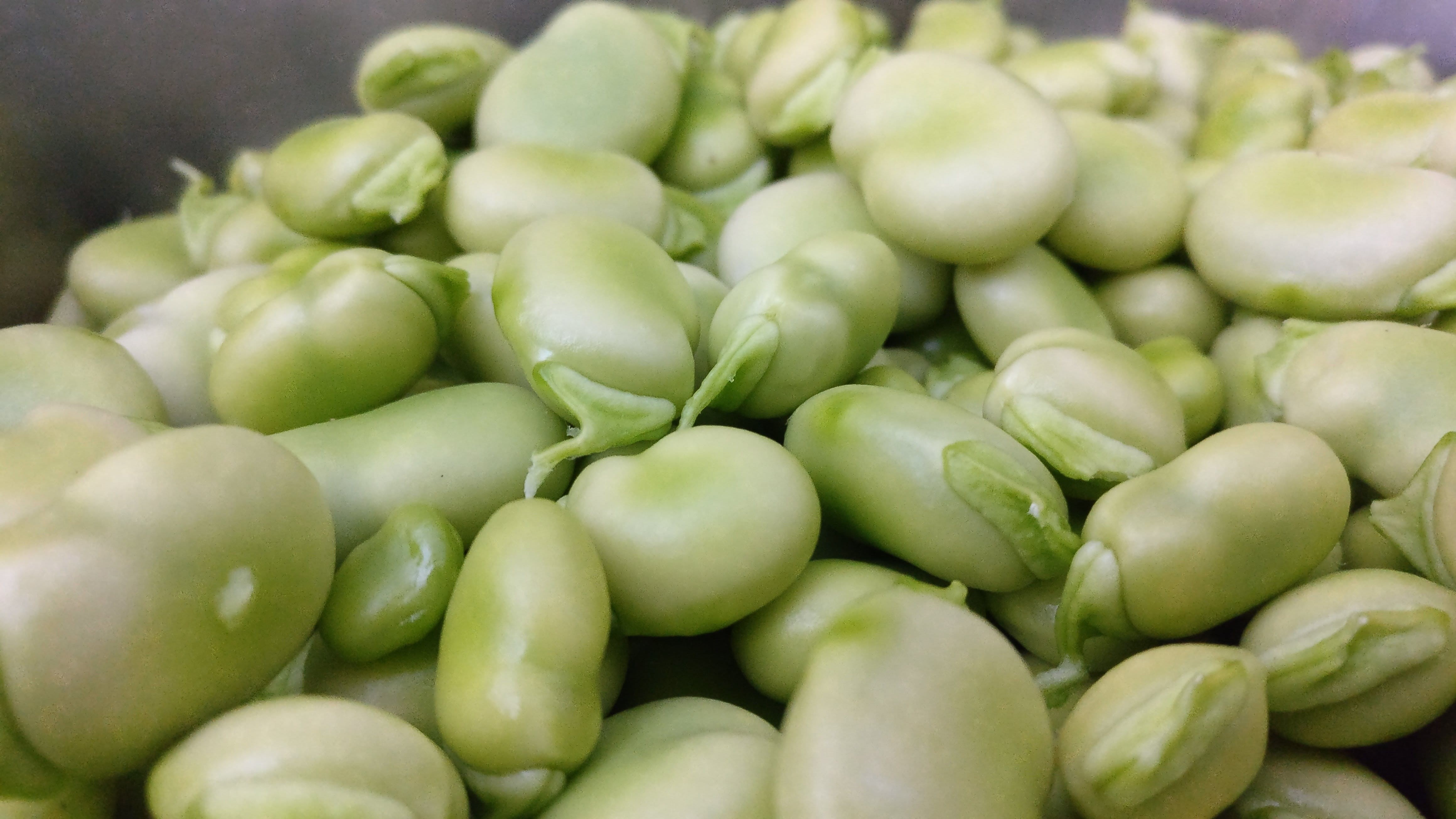 market, food, nature, vegetable, fruit, large group of objects, legume, beans, freshness, indoors, abundance, organic, no people, string bean, green color, HD Wallpaper