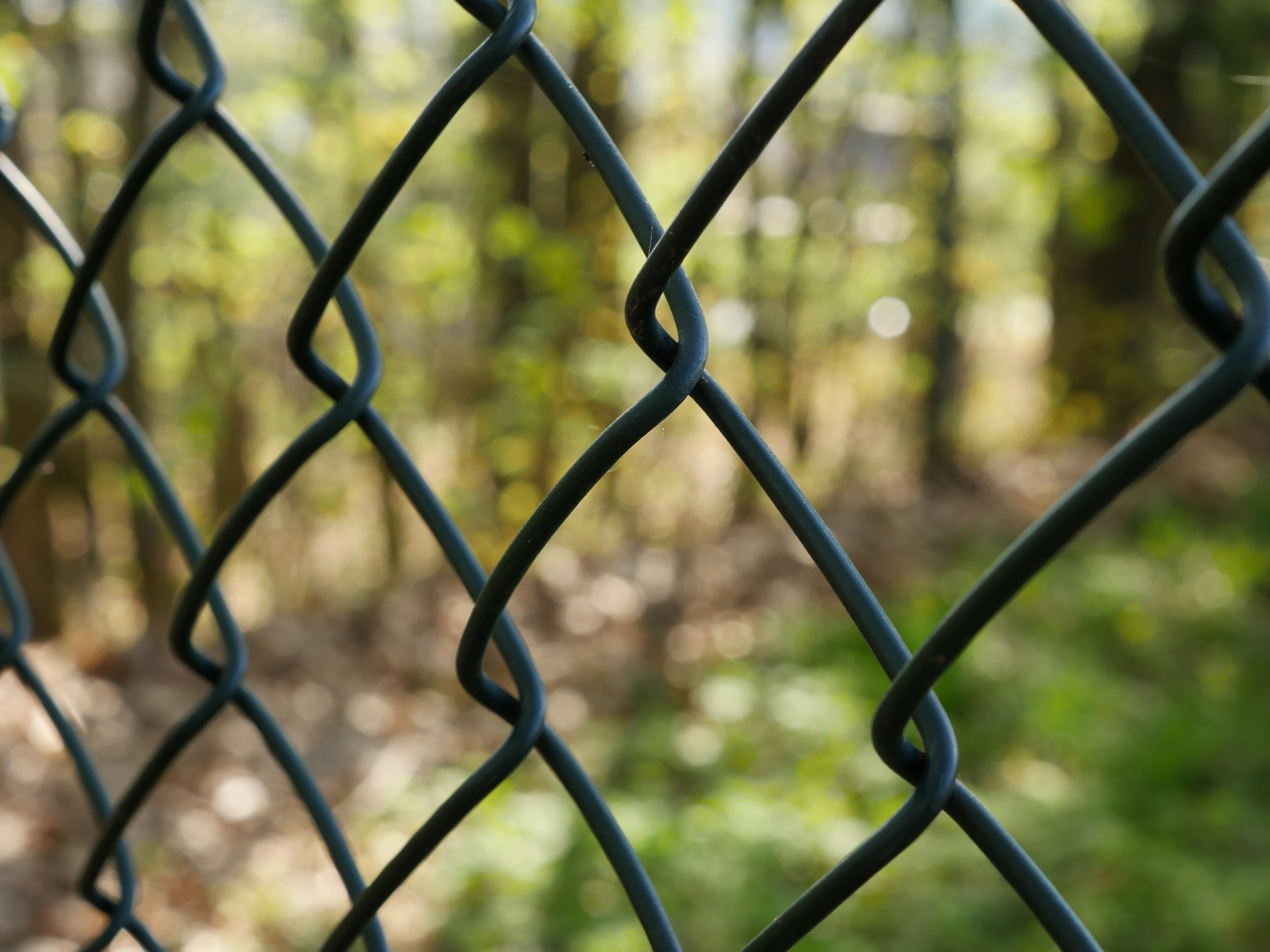 steel, separation, captivity, boundary, fenced, demarcation, garden fence, nature, close-up, sheathing, full frame, no people, wire mesh fence, backgrounds, HD Wallpaper