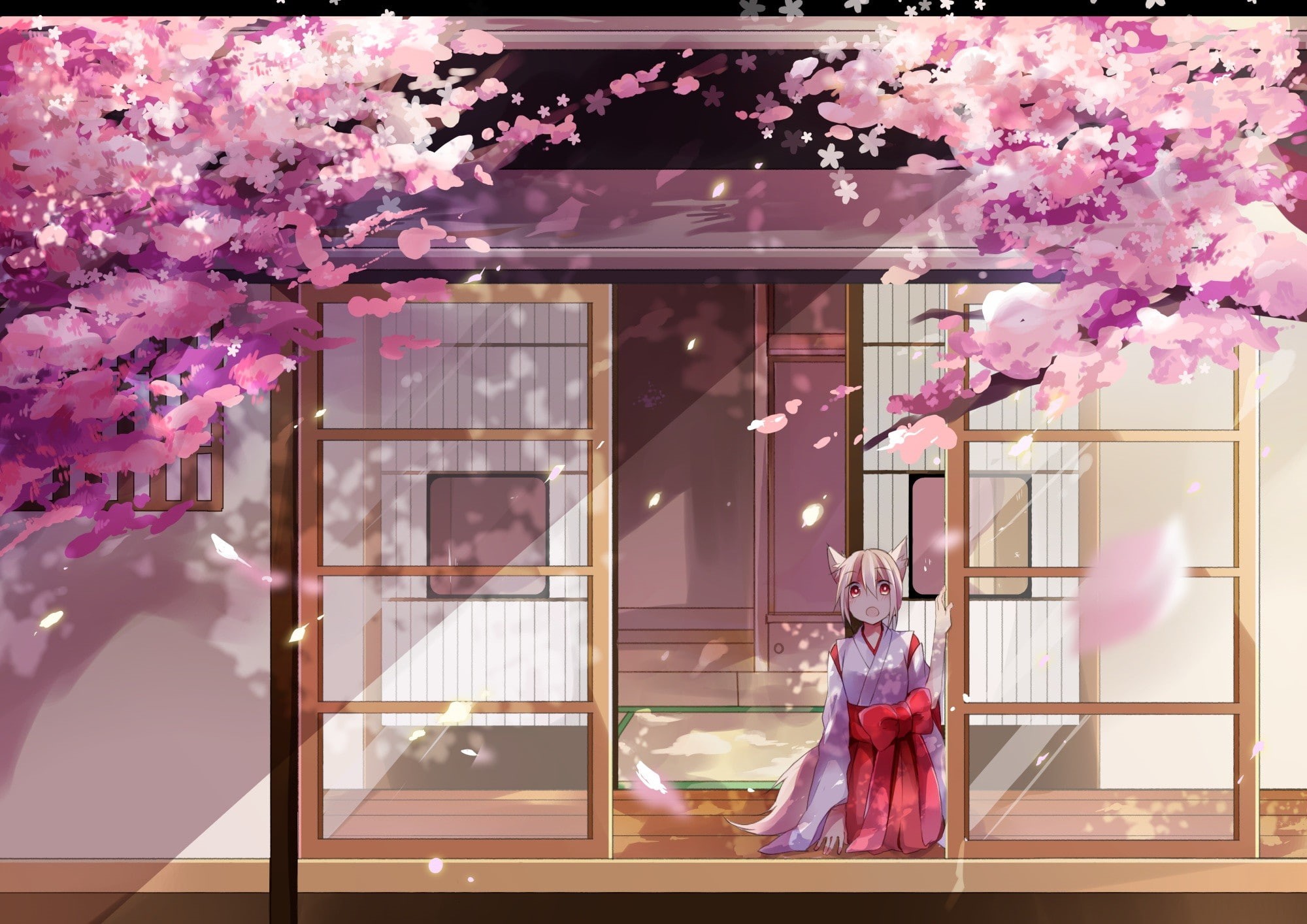 1080P, animal ears, day, flowering plant, lifestyles, nature, fragility, women, tree, reflection, building exterior, glass - material, cherry blossom, HD Wallpaper