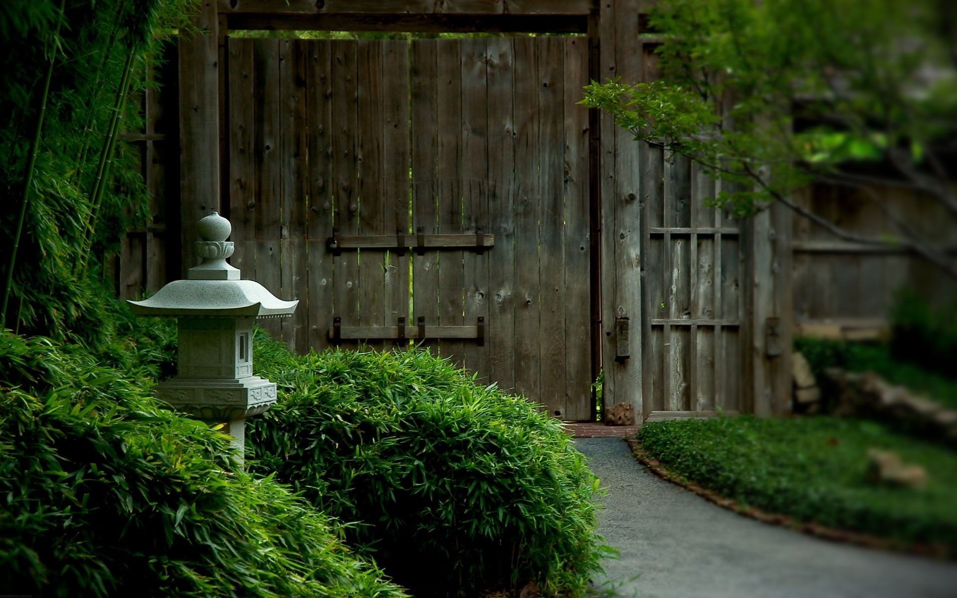 nature, Japanese Garden, wood, temple, Japan, 1080P, plants, park, HD Wallpaper