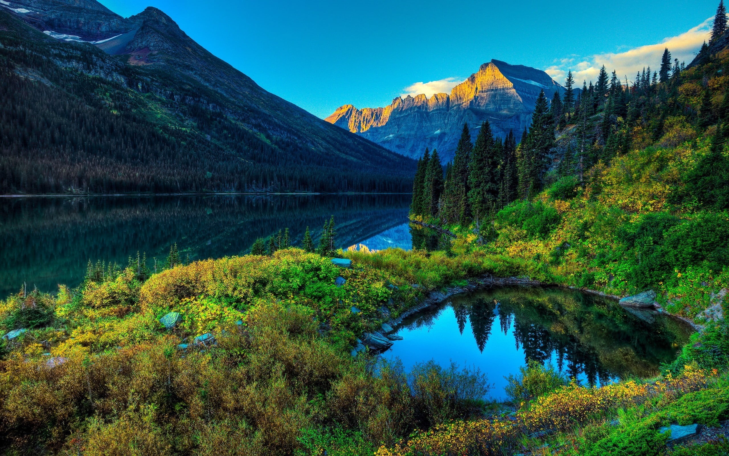 mountain, 2K, pine tree, water, environment, tranquil scene, pine woodland, surrounded, autumn, spring, mountains, green color, nature, lake, no people, HD Wallpaper