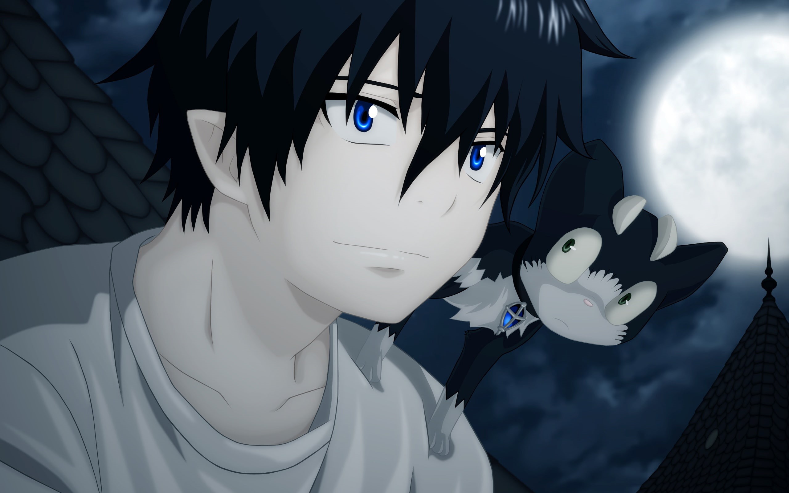 Anime, Ao No Exorcist, Kuro (Ao No Exorcist), Blue Exorcist, 2K, Rin Okumura, HD Wallpaper