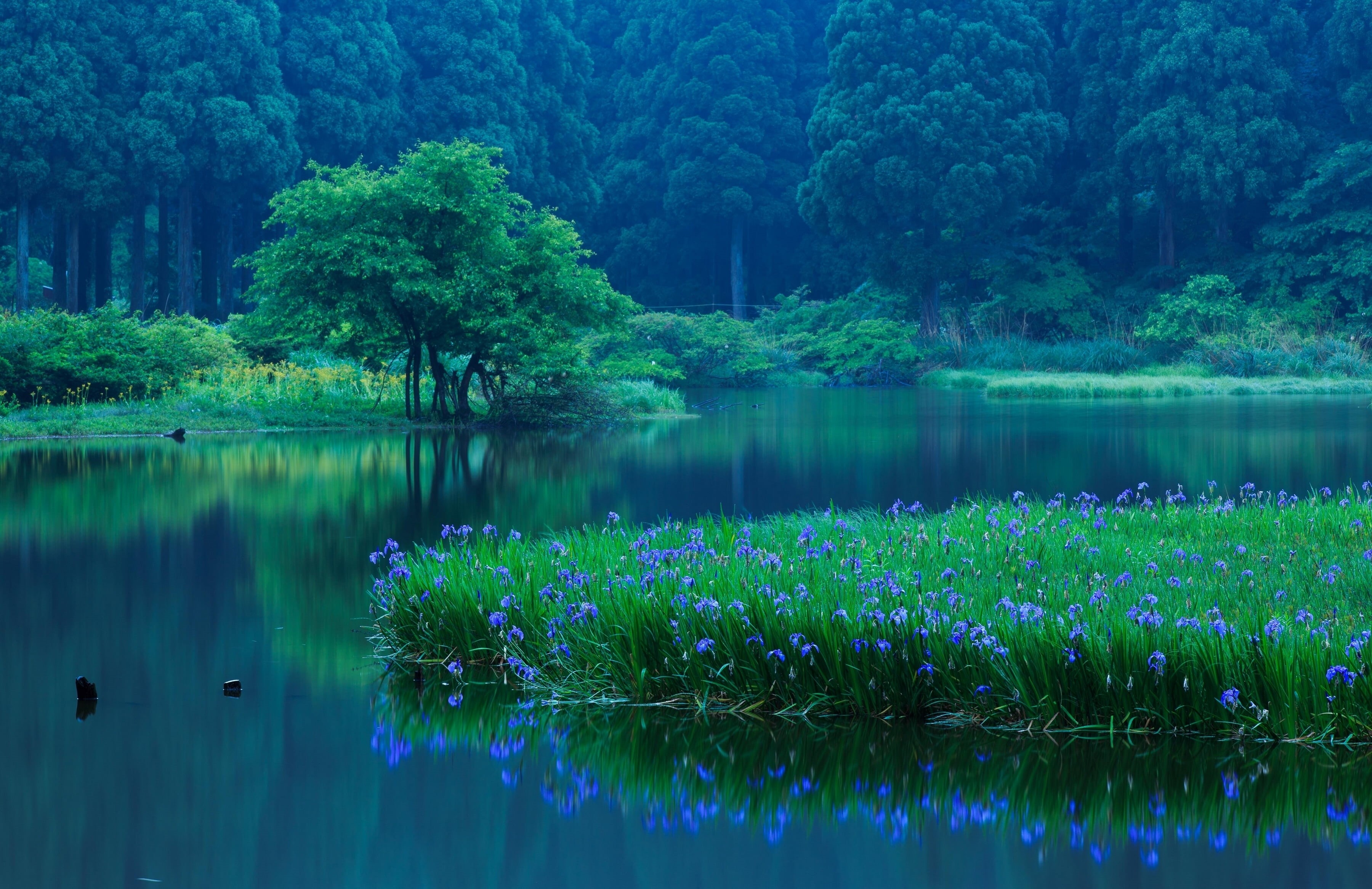 reflection lake, rural Scene, environment, nature, freshness, 2K, turquoise colored, outdoors, travel, sky, summer, standing water, grass, green Color, HD Wallpaper