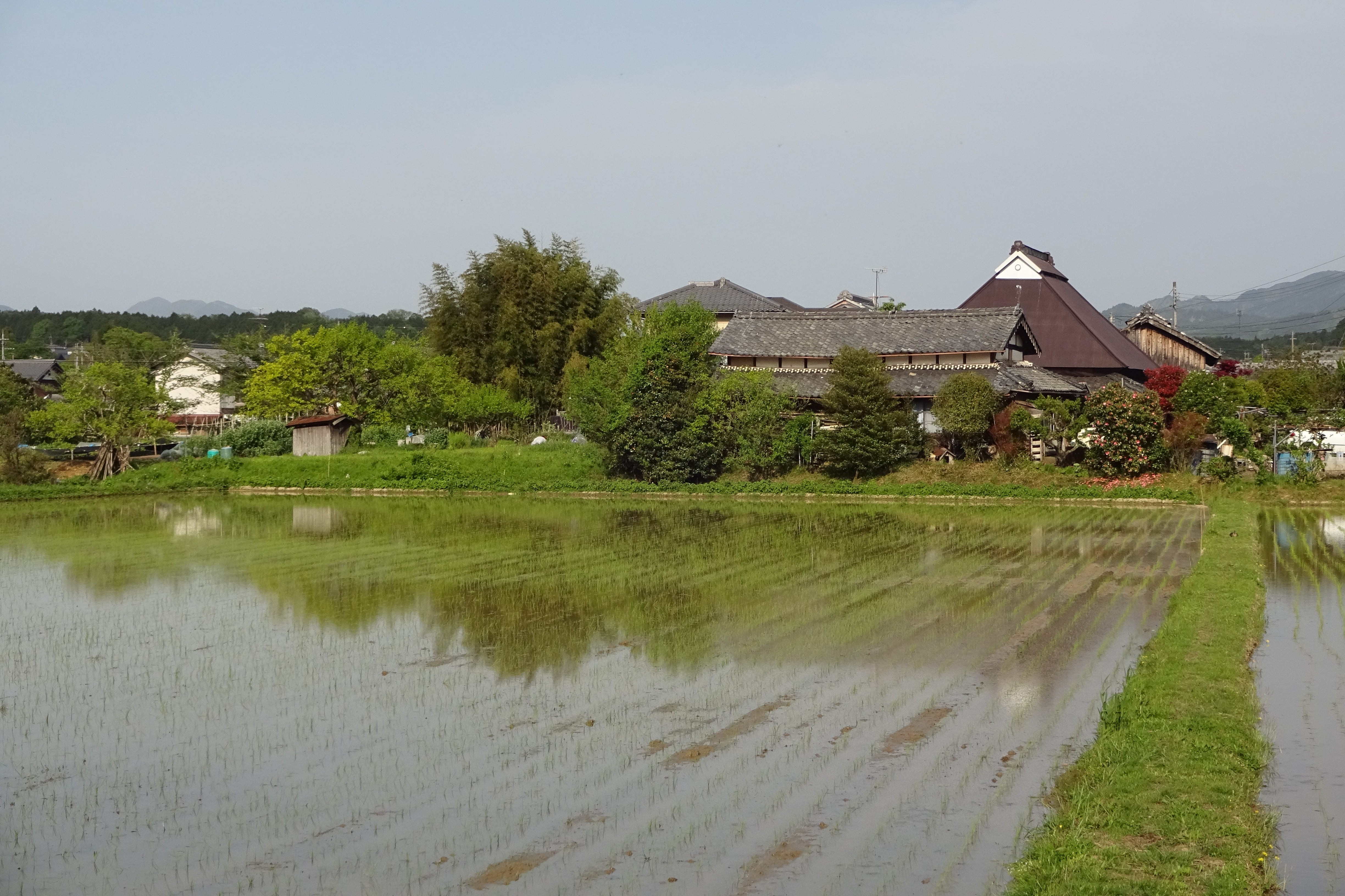 day, architecture, koka city, sky, built structure, beauty in nature, countryside, reflection, nature, building exterior, no people, japan landscape, building, HD Wallpaper