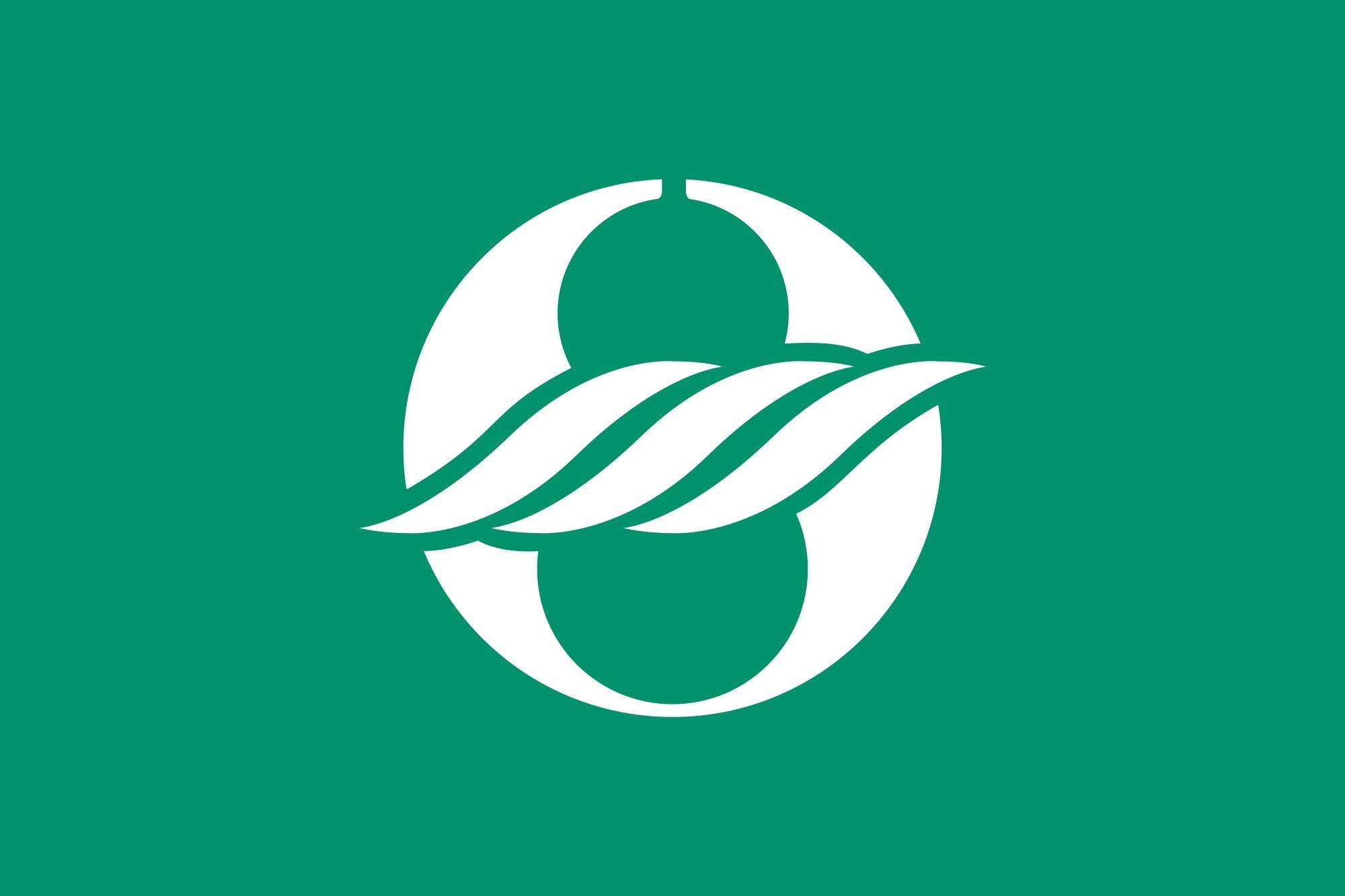 2000px flag, 1080P, variant svg, nagahama, shiga, HD Wallpaper