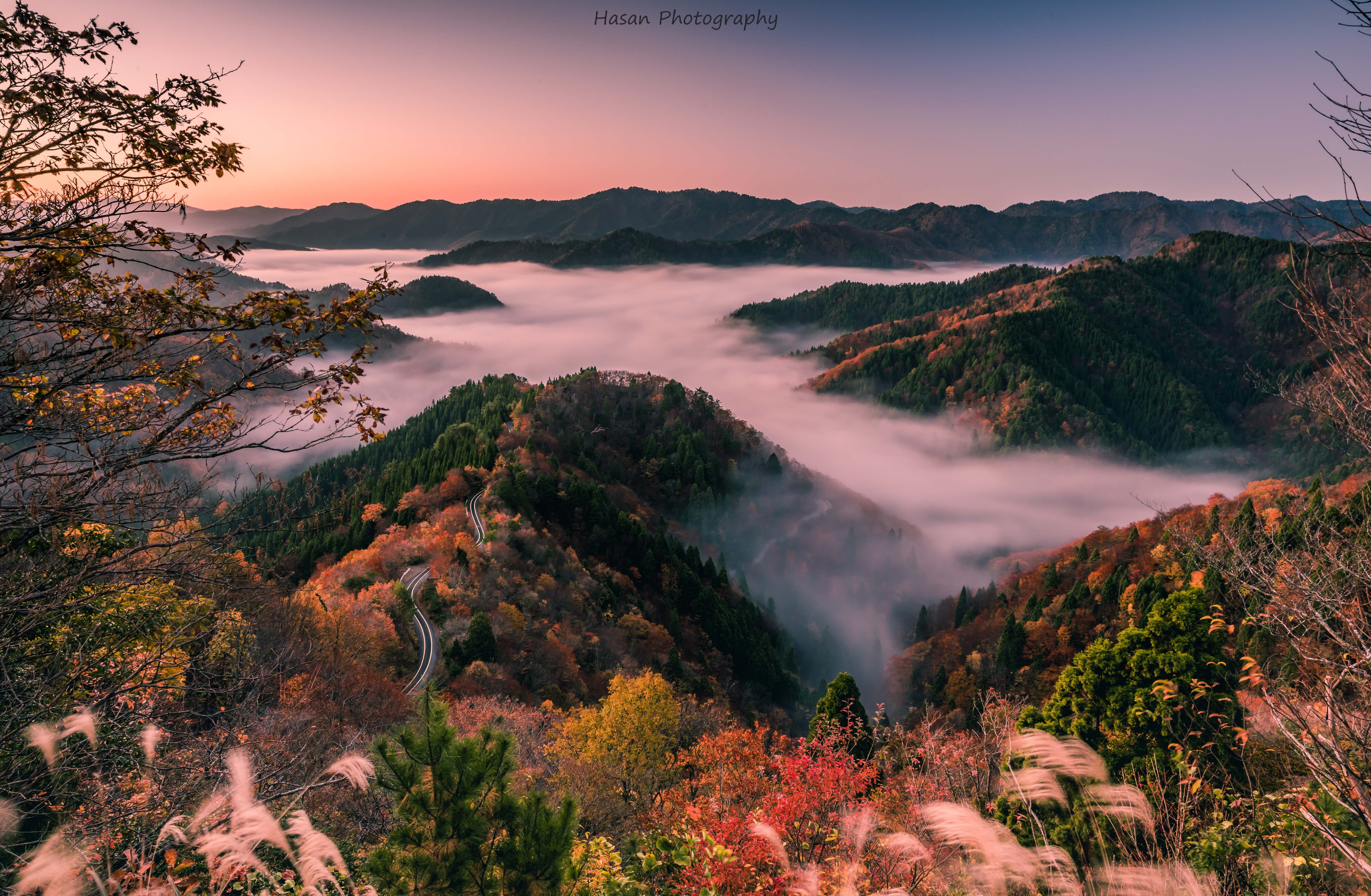 Japan, wooded hills, 5K, morning mist, Shiga Prefecture, HD Wallpaper