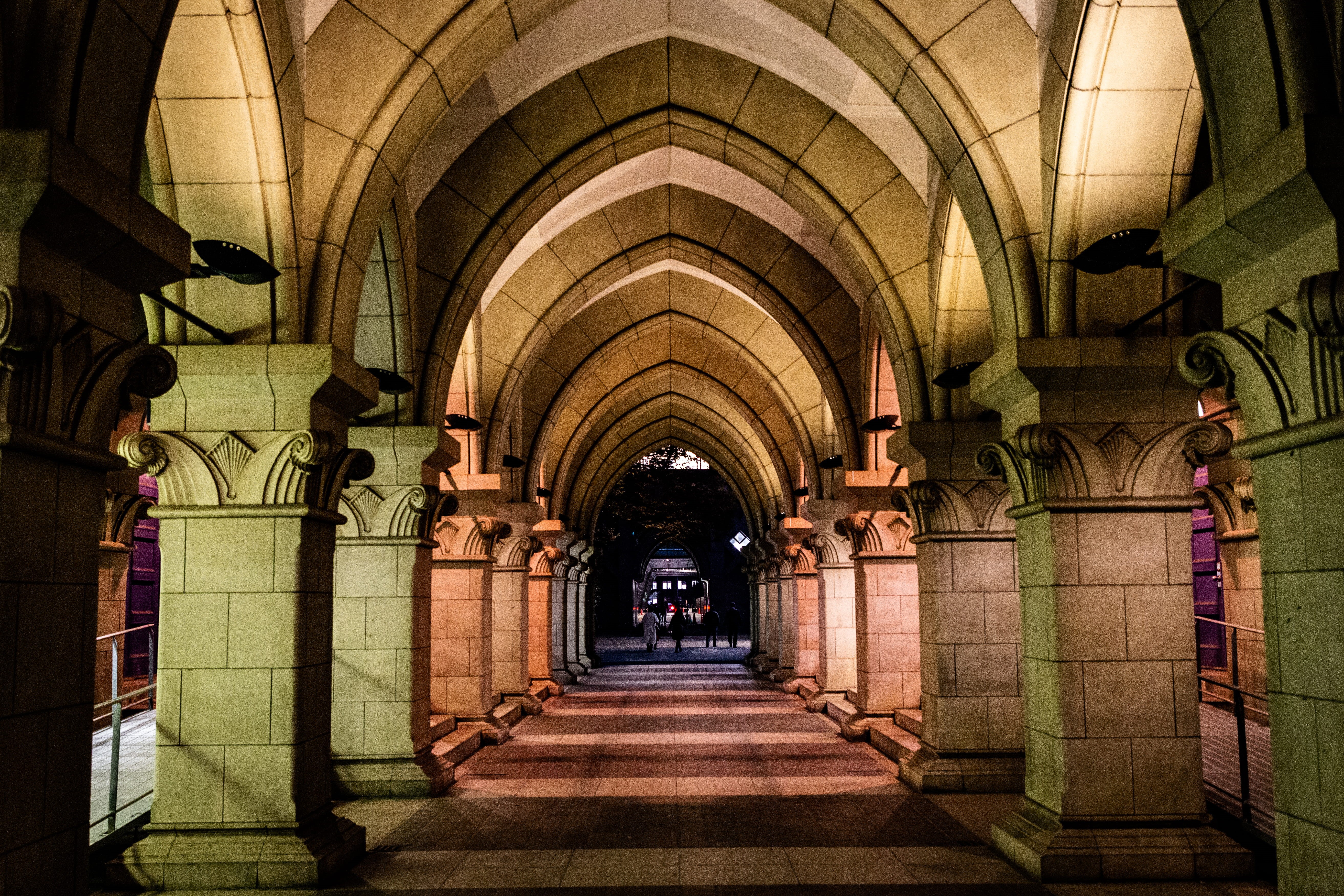 building, aisle, dog, corridor, animal, hound, architecture, incidental people, illuminated, built structure, vanishing point, flooring, architectural column, HD Wallpaper