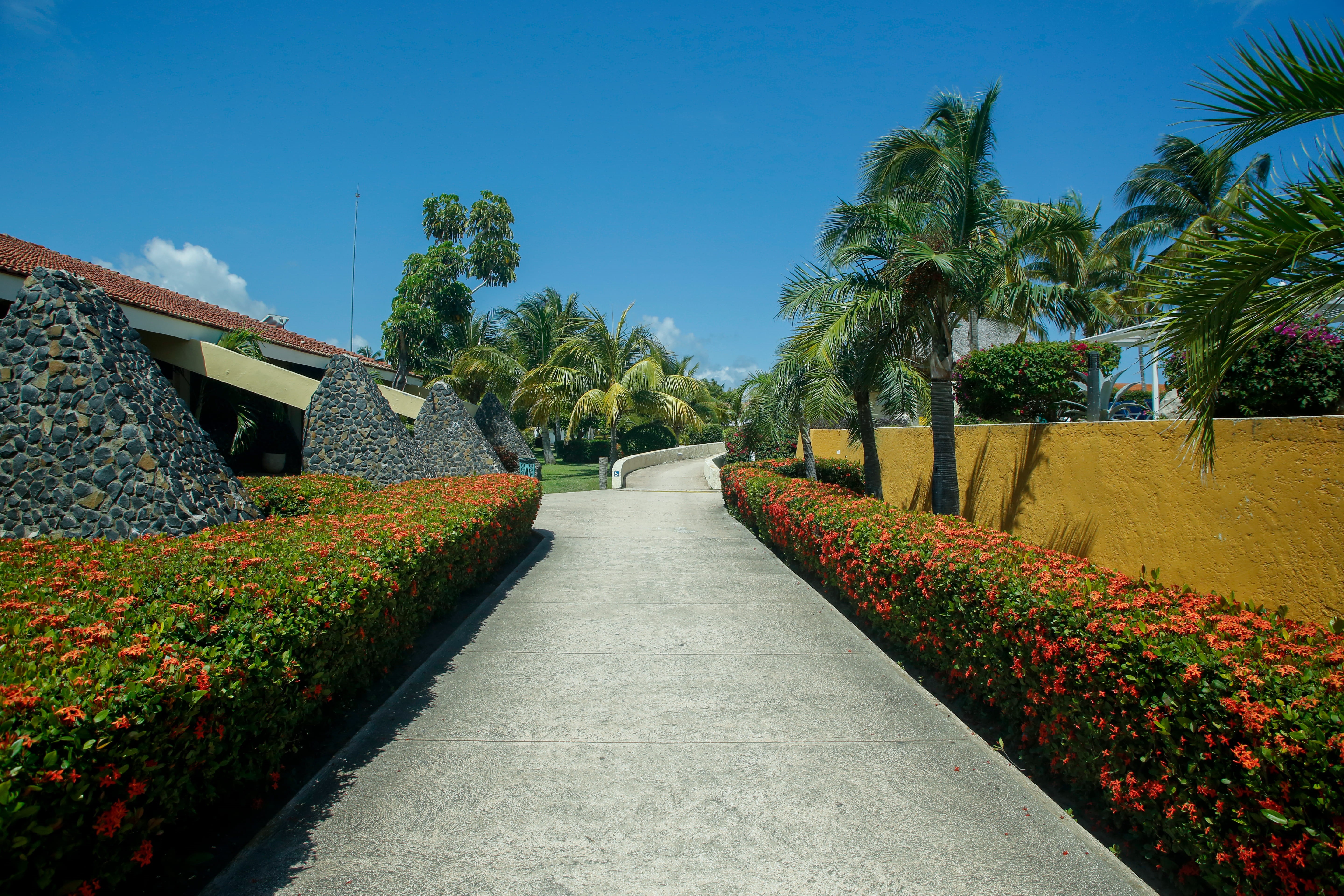 the way forward, tree, footpath, park, lawn, flower, garden, grass, green color, day, growth, bushes, tranquility, cuba, summer, arbour, beauty in nature, HD Wallpaper