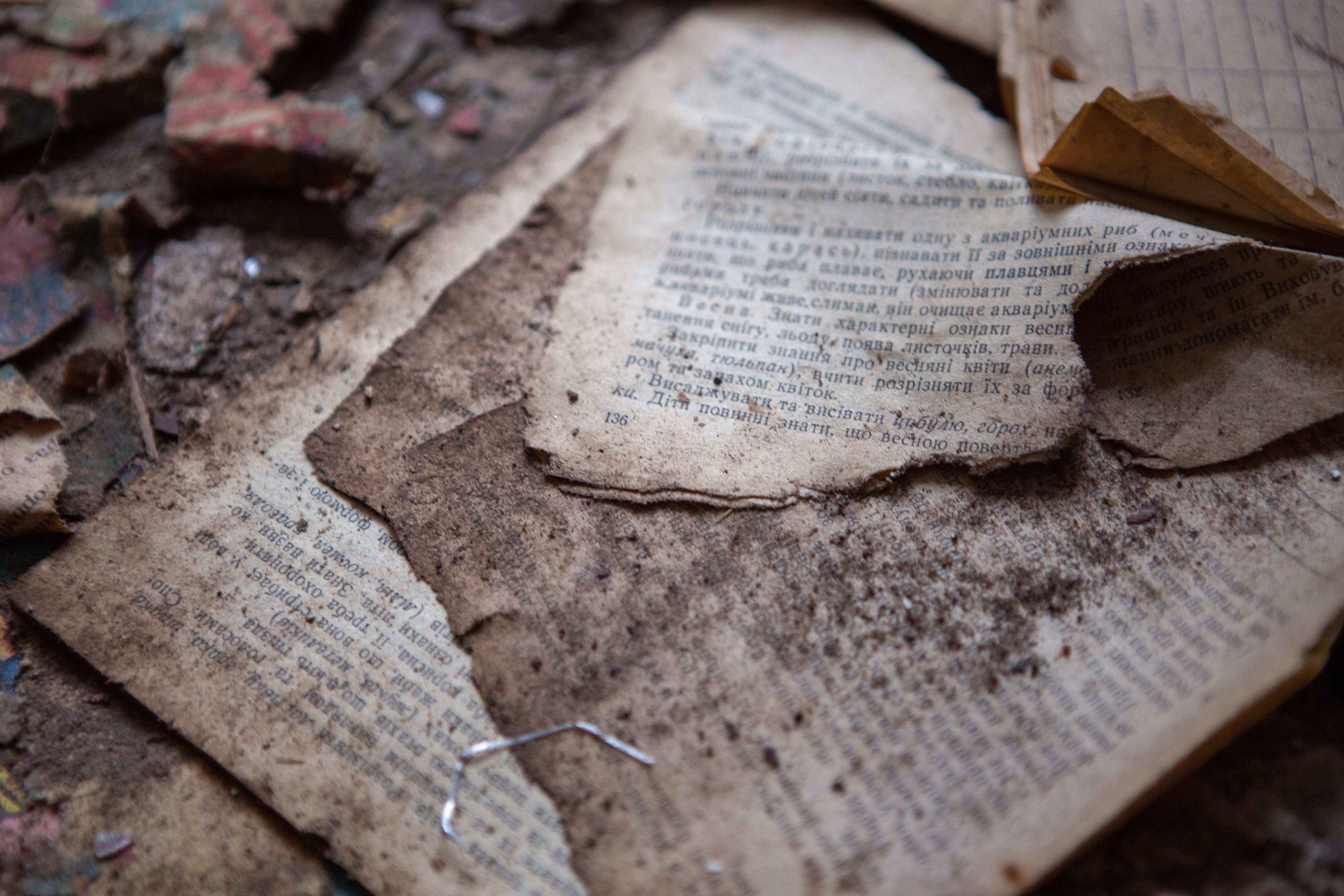 apparel, ground, text, history, flagstone, cemetery, religion, paper, publication, belief, spirituality, old, soil, chernobyl, home decor, leaf, plant, HD Wallpaper