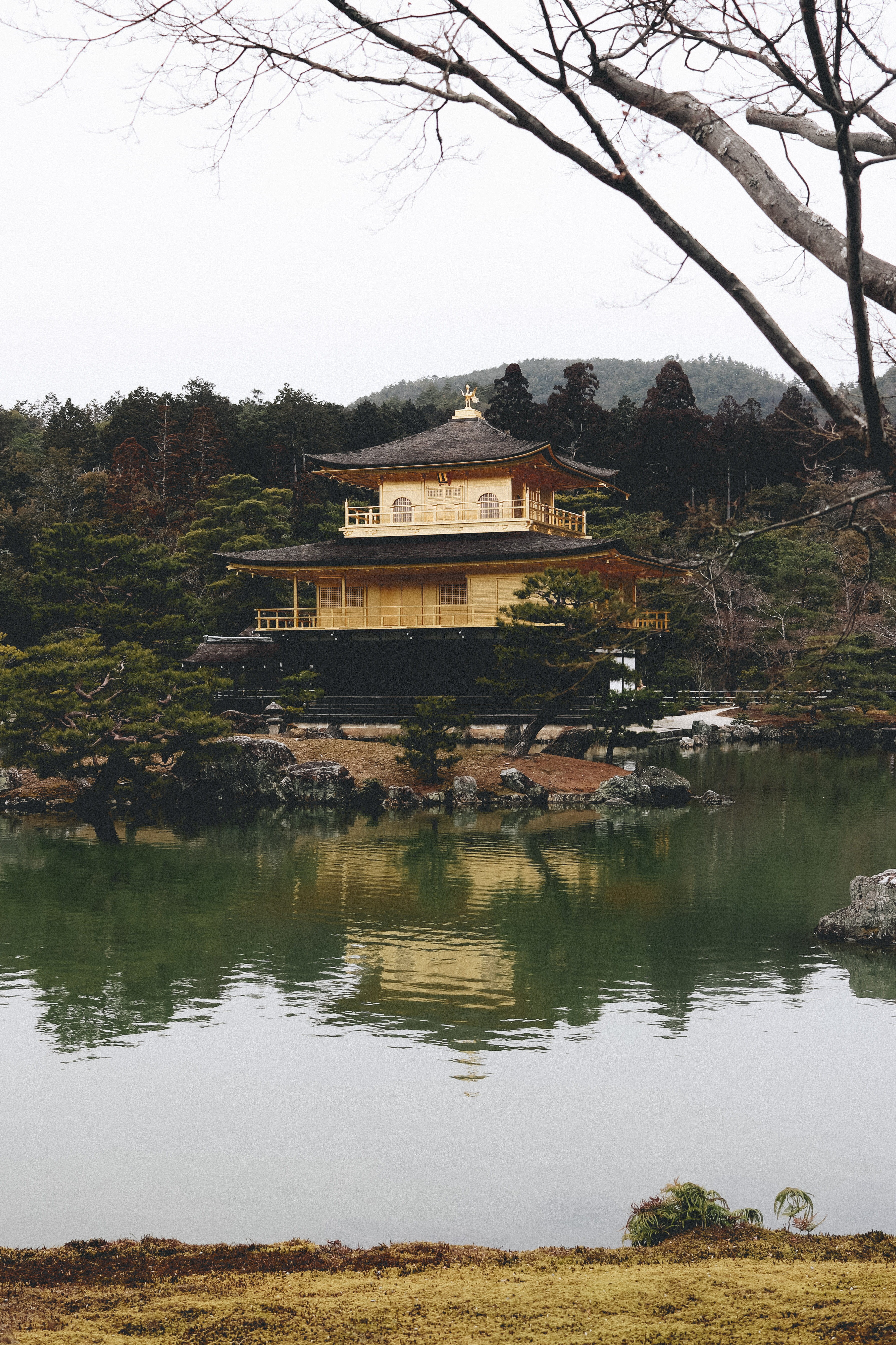 tranquility, outdoors, water, plant, chinese, no people, japanese, day, 5K, kyōto-shi, reflection, japan, architecture, place of worship, building, buddhist, Phone HD Wallpaper