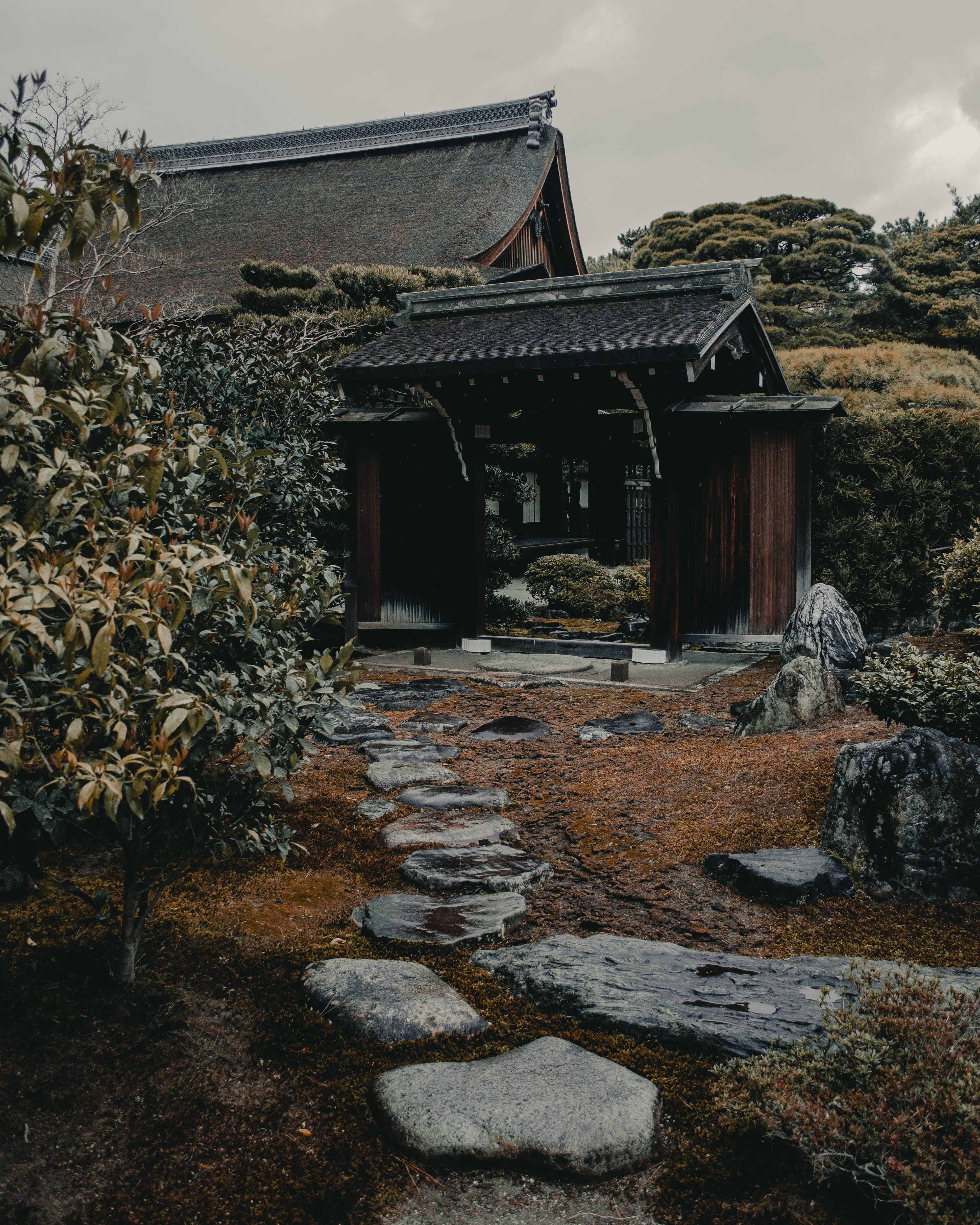 old, kyoto, oriental, house, growth, architecture, plant, abandoned, pathway, day, japan, outdoors, ruined, walkway, ground, footpath, roof, flagstone, Phone HD Wallpaper