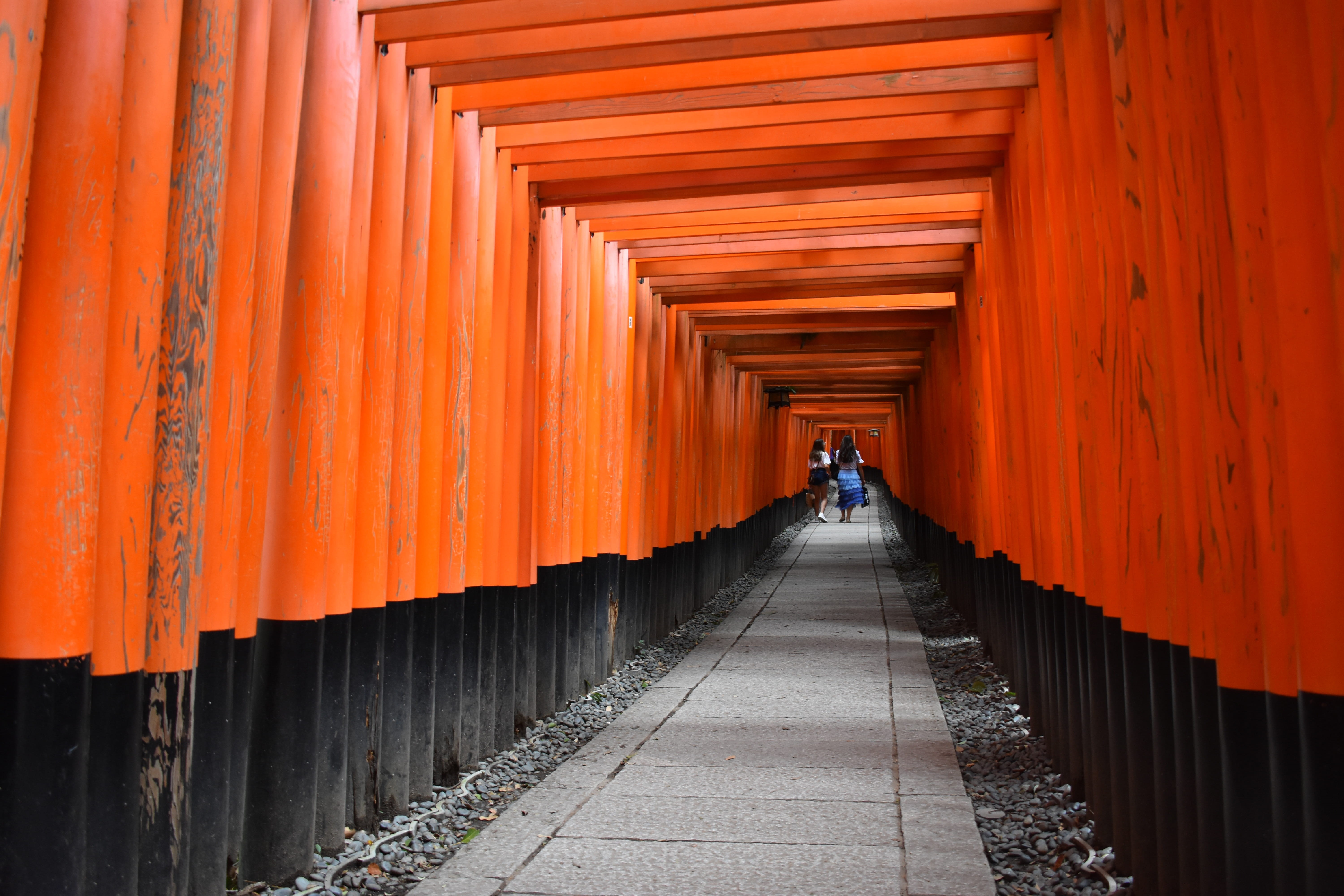 architectural column, fushimi inari taisha, outdoors, kyōto-shi, kyoto, belief, full length, travel, spirituality, asia, day, the way forward, direction, HD Wallpaper