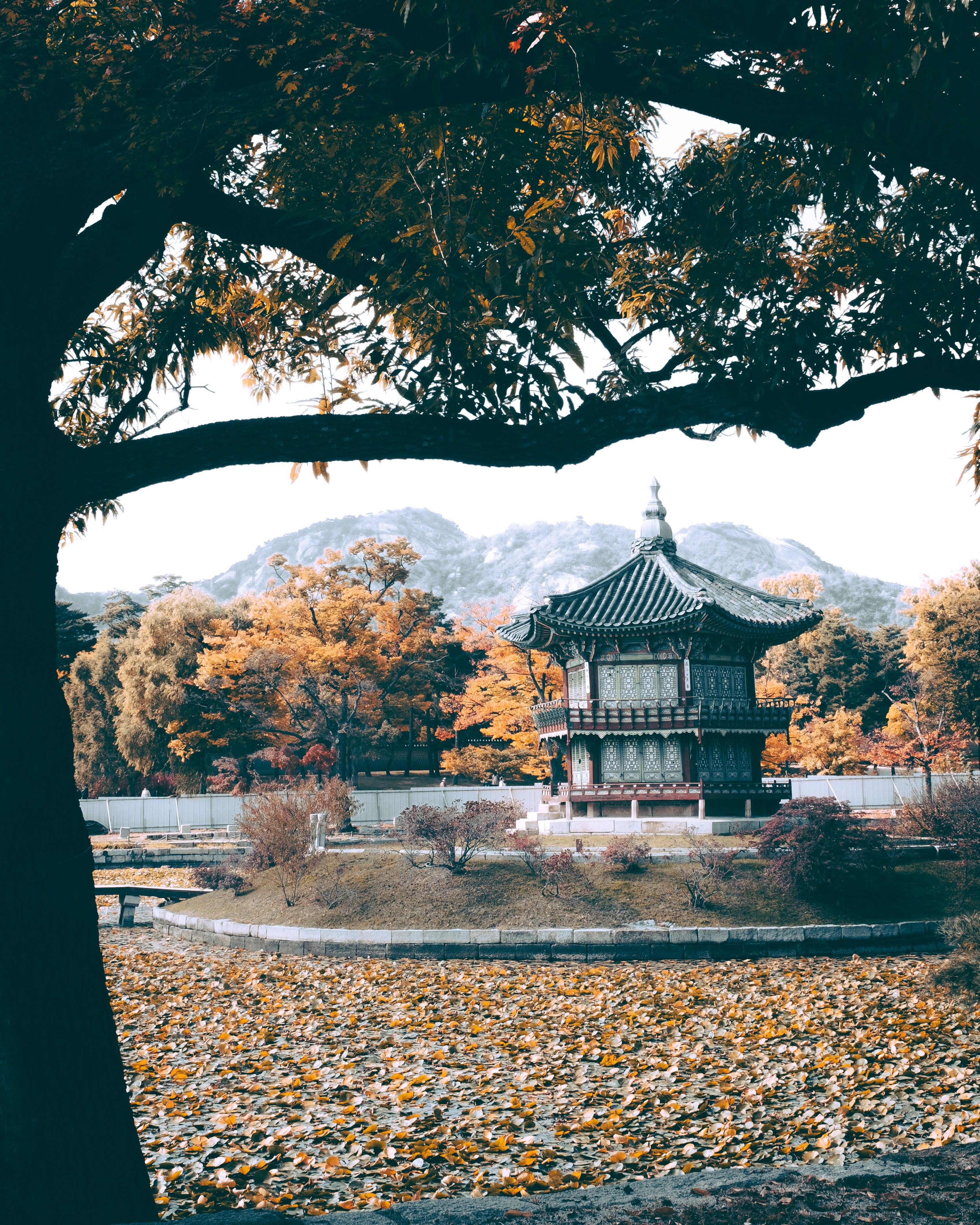 temple, outdoors, 4K, shrine, building exterior, traditional design, building, water, no people, worship, built structure, daytime, beauty in nature, woodland, Phone HD Wallpaper