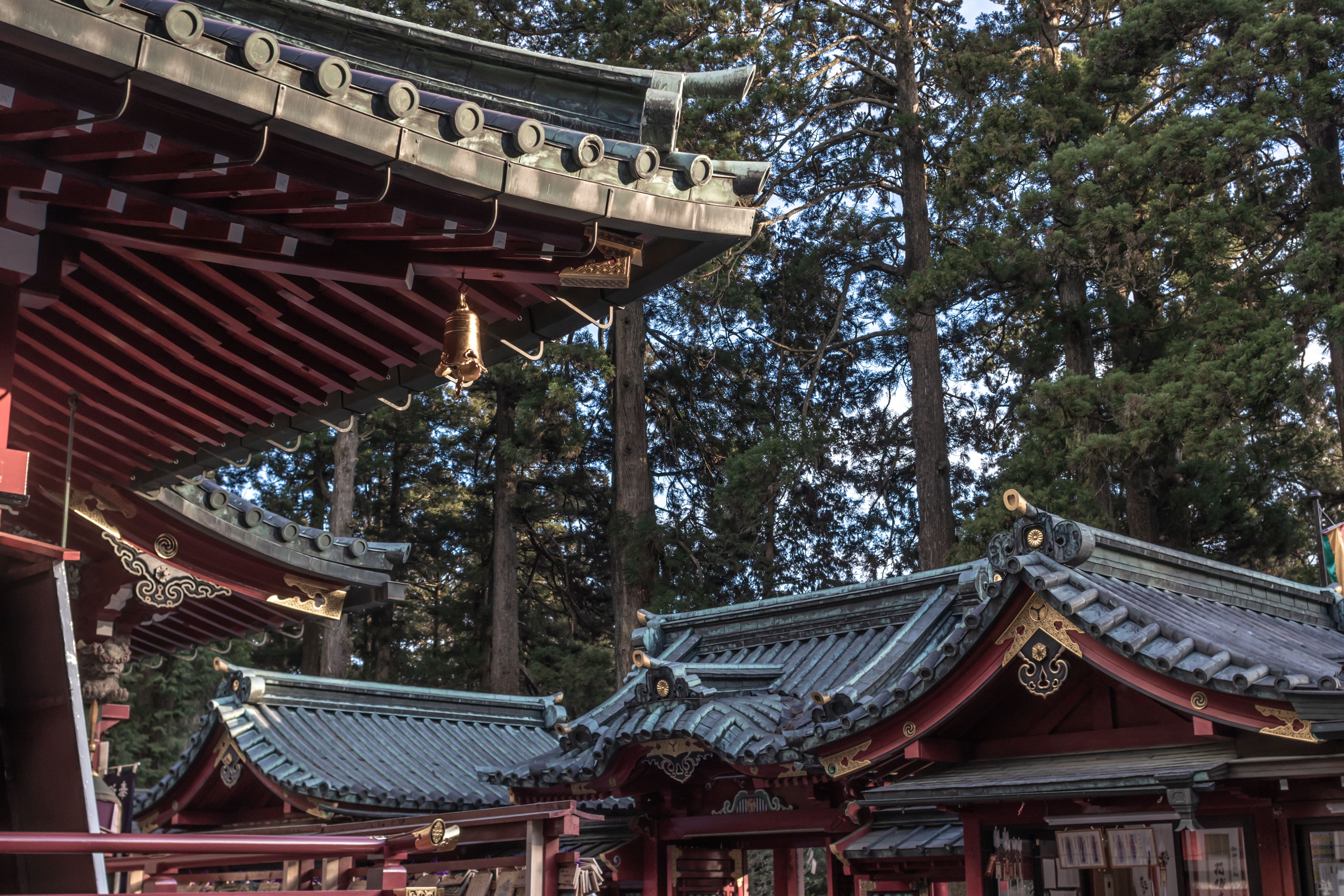 low angle view, japan, landscape, no people, eaves, belief, 5K, building exterior, shrine, temple, built structure, travel, housing, worship, arbour, pergola, HD Wallpaper