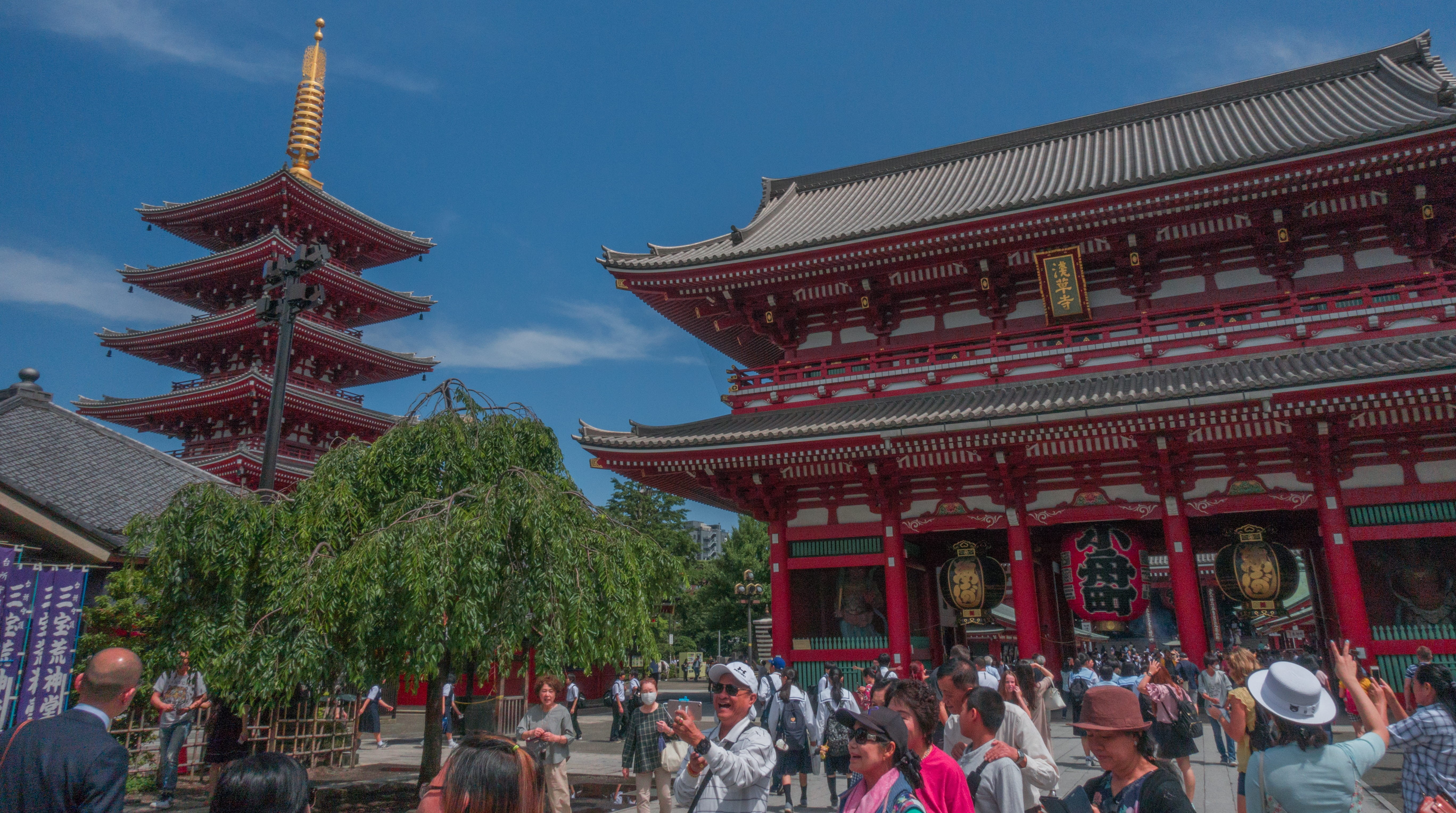 sensō-ji, tokyo, city, taitō-ku, group of people, summer, religion, building, large group of people, travel, outdoors, crowd, belief, wonder, people, place of worship, HD Wallpaper