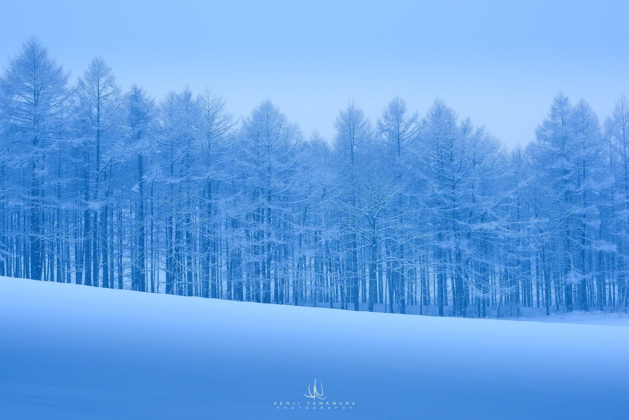 Kenji Yamamura, nature, frost, outdoors, cold, tranquil scene, winter, cold temperature, sky, no people, land, covering, tree, tranquility, non-urban scene, HD Wallpaper