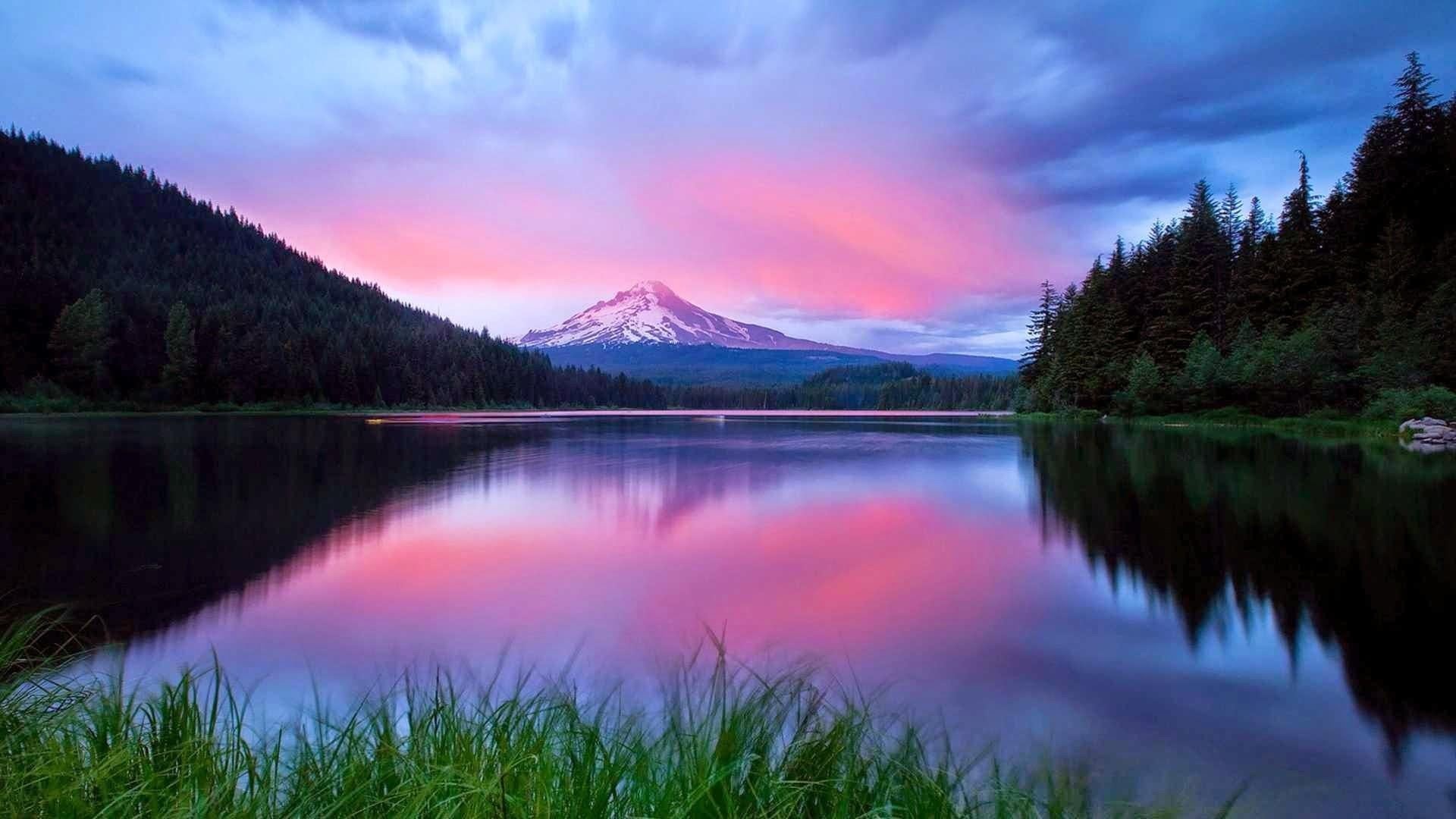 water, snowcapped mountain, nature, pine tree, no people, mountain range, environment, reflected, plant, mountain, tree, mountain peak, purple, cloud - sky, HD Wallpaper