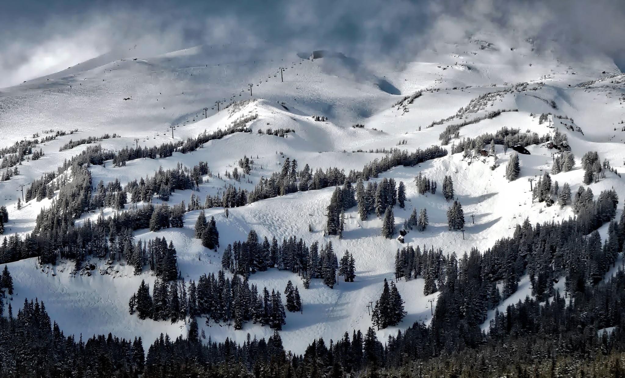 meadows, slopes, mountains, ski lift, 1080P, mt hood, beauty in nature, land, tree, plant, coniferous tree, snow, tranquil scene, oregon, landscape, hdr, HD Wallpaper