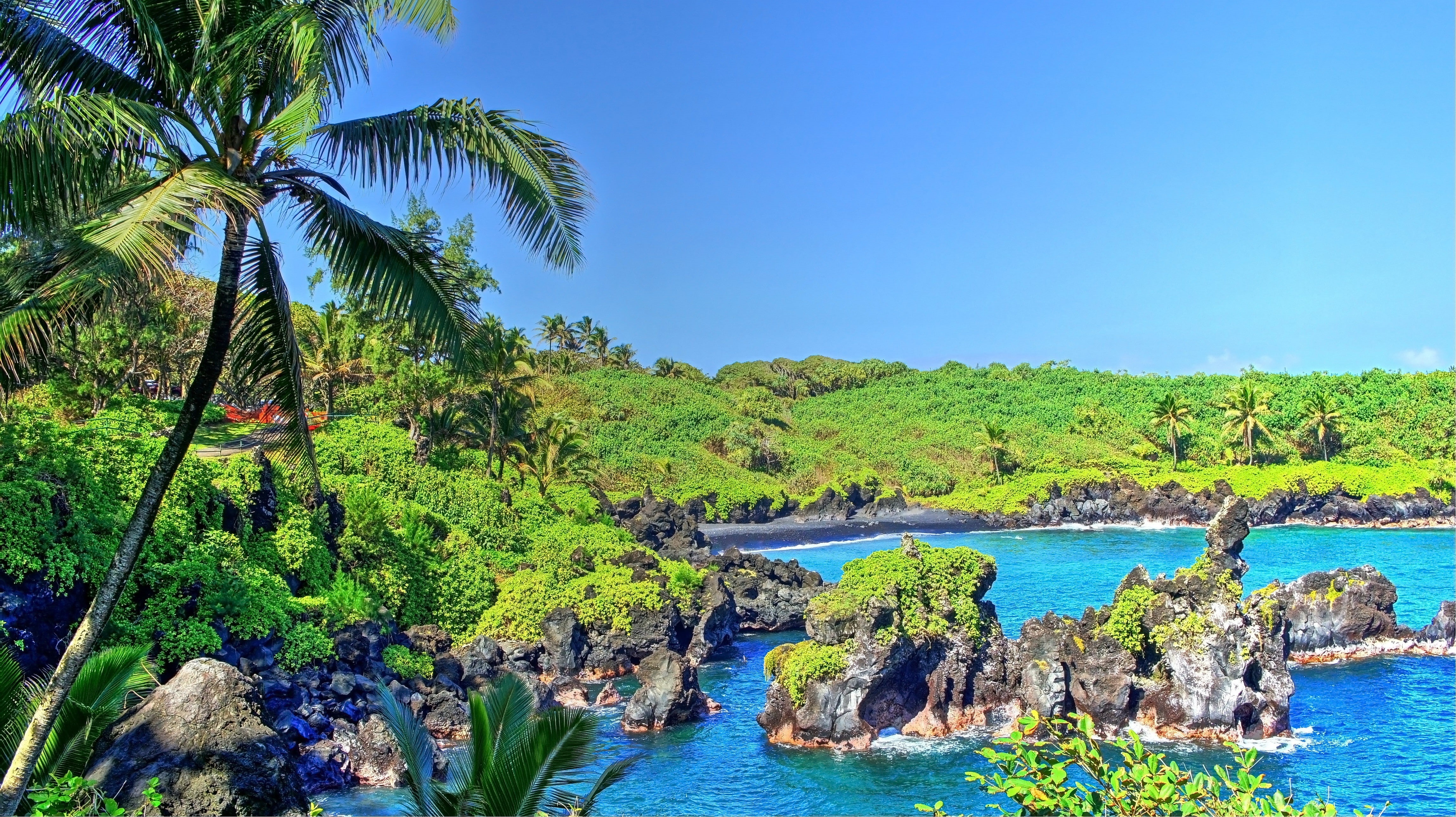tropical forest, plant, turquoise colored, land, sky, tranquil scene, outdoors, idyllic, scenics - nature, Hawaii, waterfall, beauty in nature, no people, HD Wallpaper