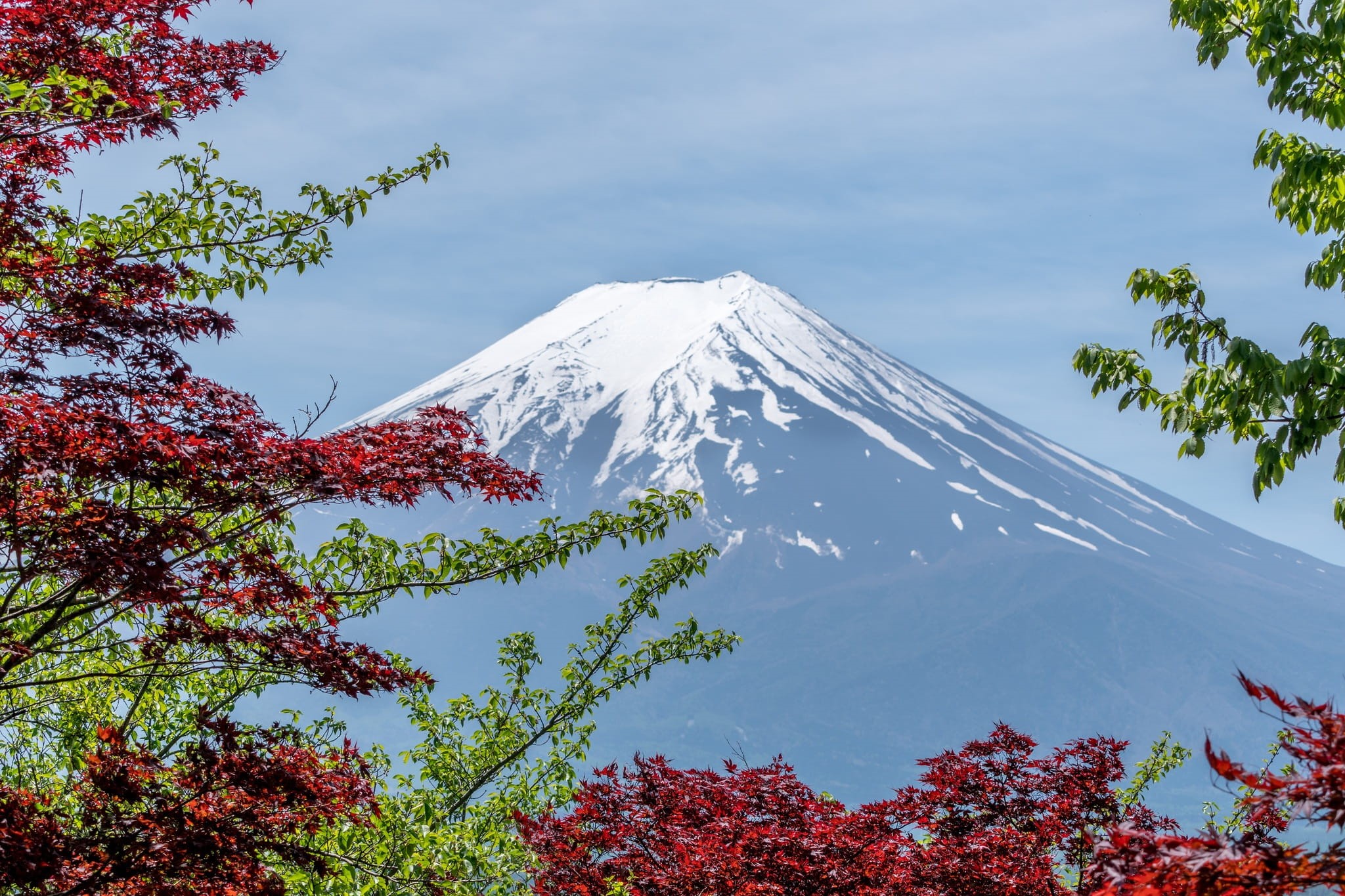 snowcapped mountain, outdoors, winter, mountain, bright, mountain peak, tranquil scene, daylight, japan, trees, season, beauty in nature, nature, mount fuji, HD Wallpaper