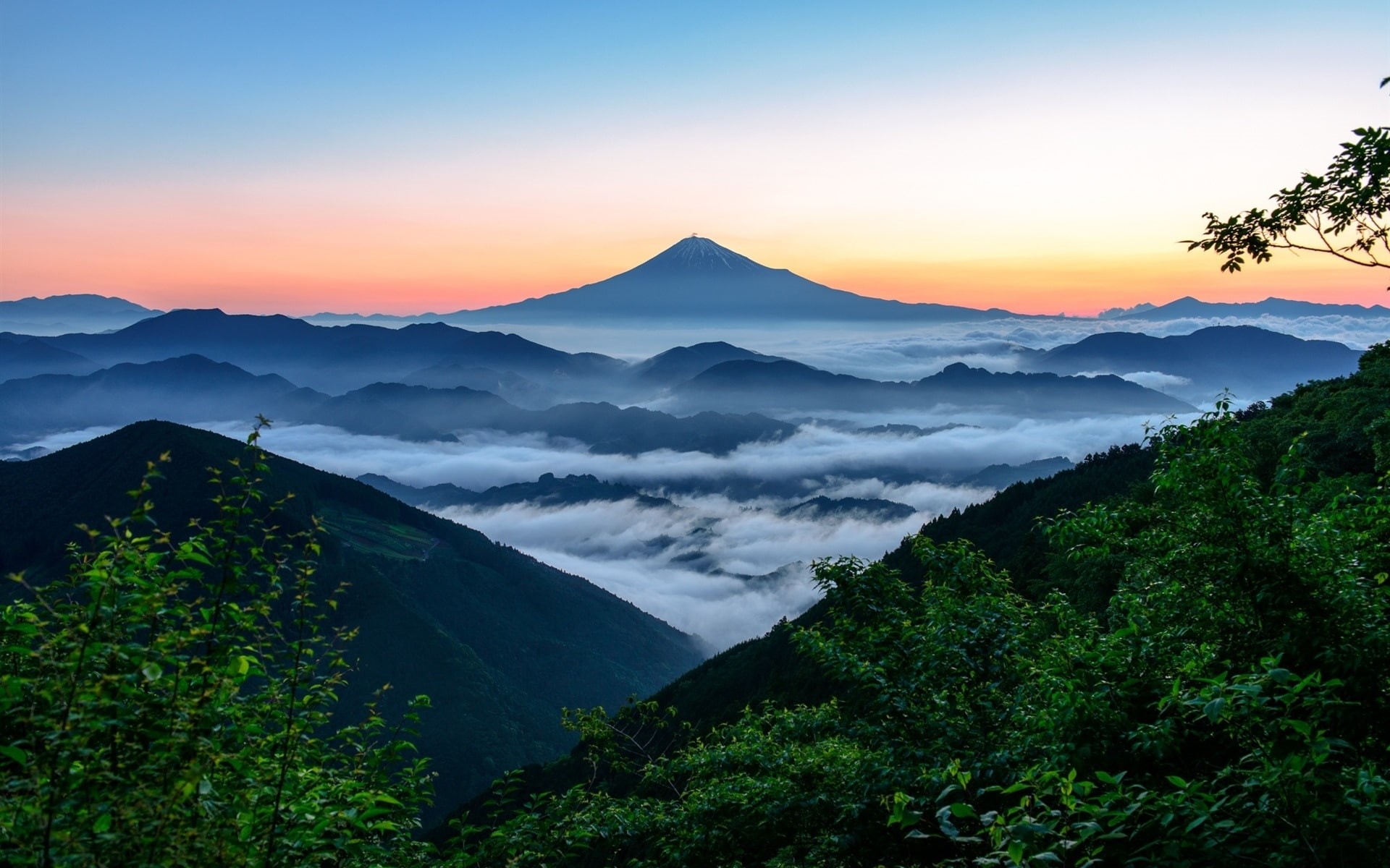 1080P, Fujiyama, Clouds, Morning, Fog, Trees, Mountain, Japan, HD Wallpaper