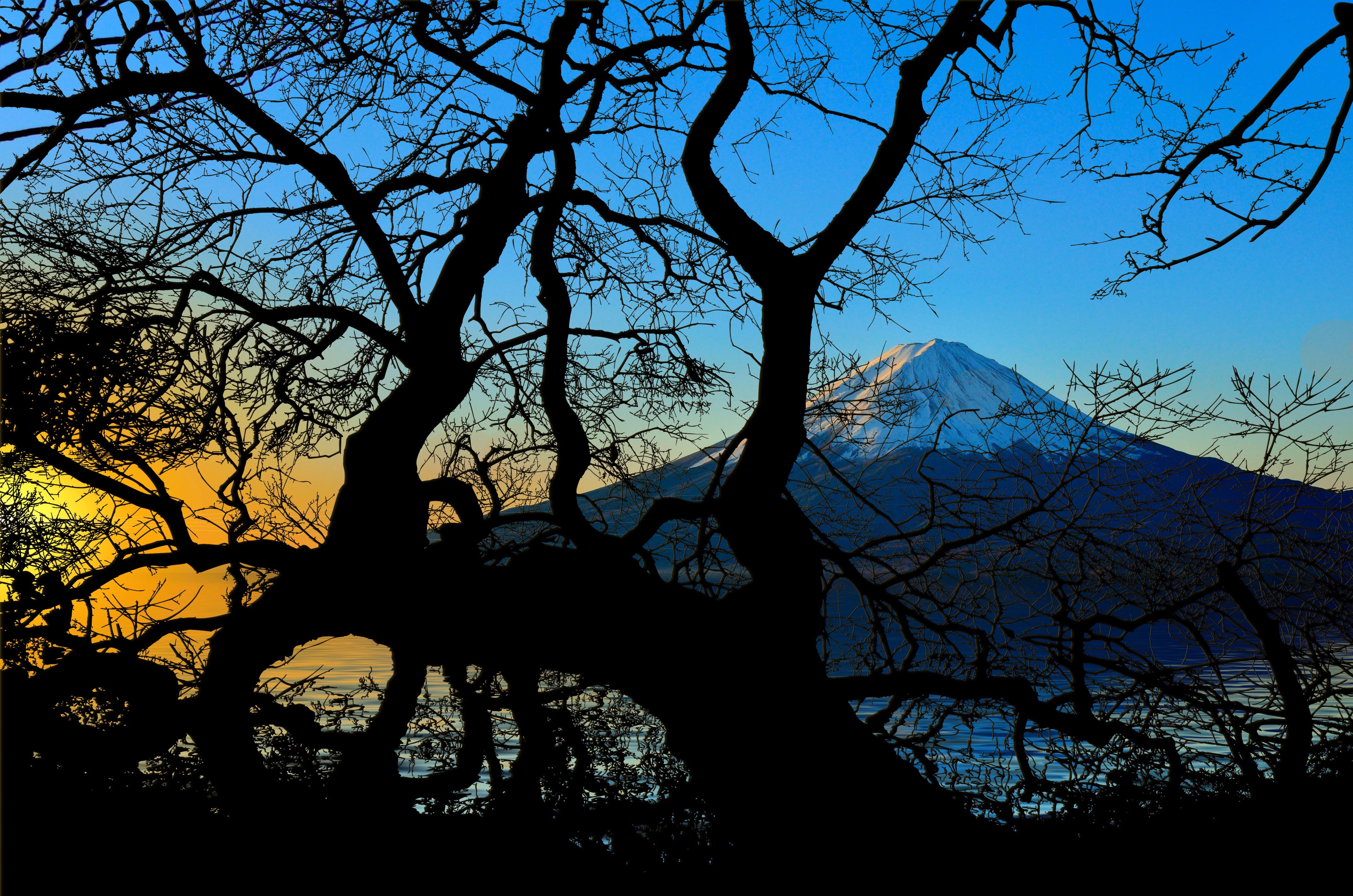 fujiyama, sky, branch, tranquil scene, cloud - sky, mountain, volcano, low angle view, beauty in nature, kahl, tree, bare tree, land, sunrise, sunset, silhouette, HD Wallpaper