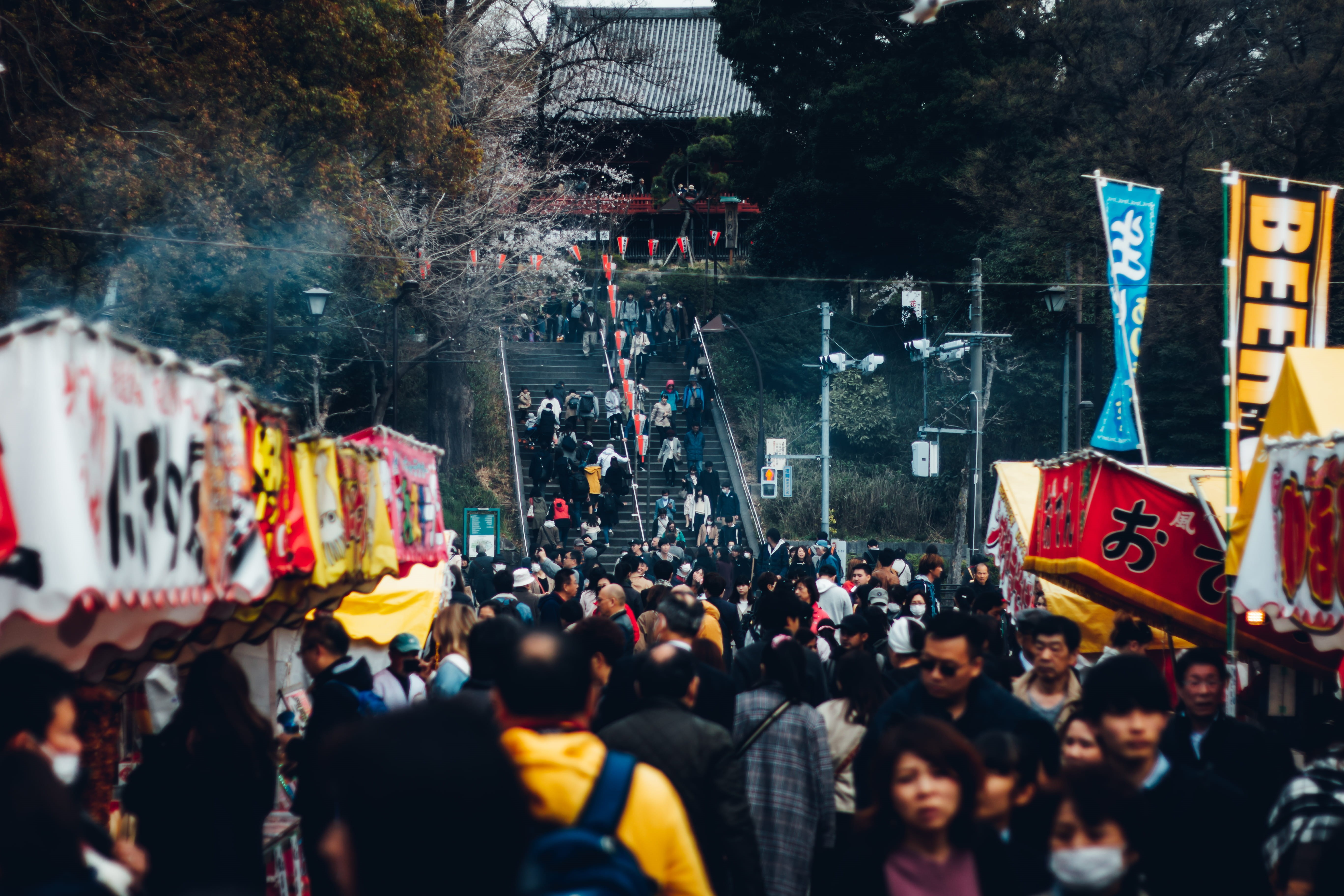 喧噪, adult, real people, plant, festival, road, 不忍池, 5K, protestor, group of people, large group of people, vacation, japan, nihon, tree, 風景, men, taito city, HD Wallpaper