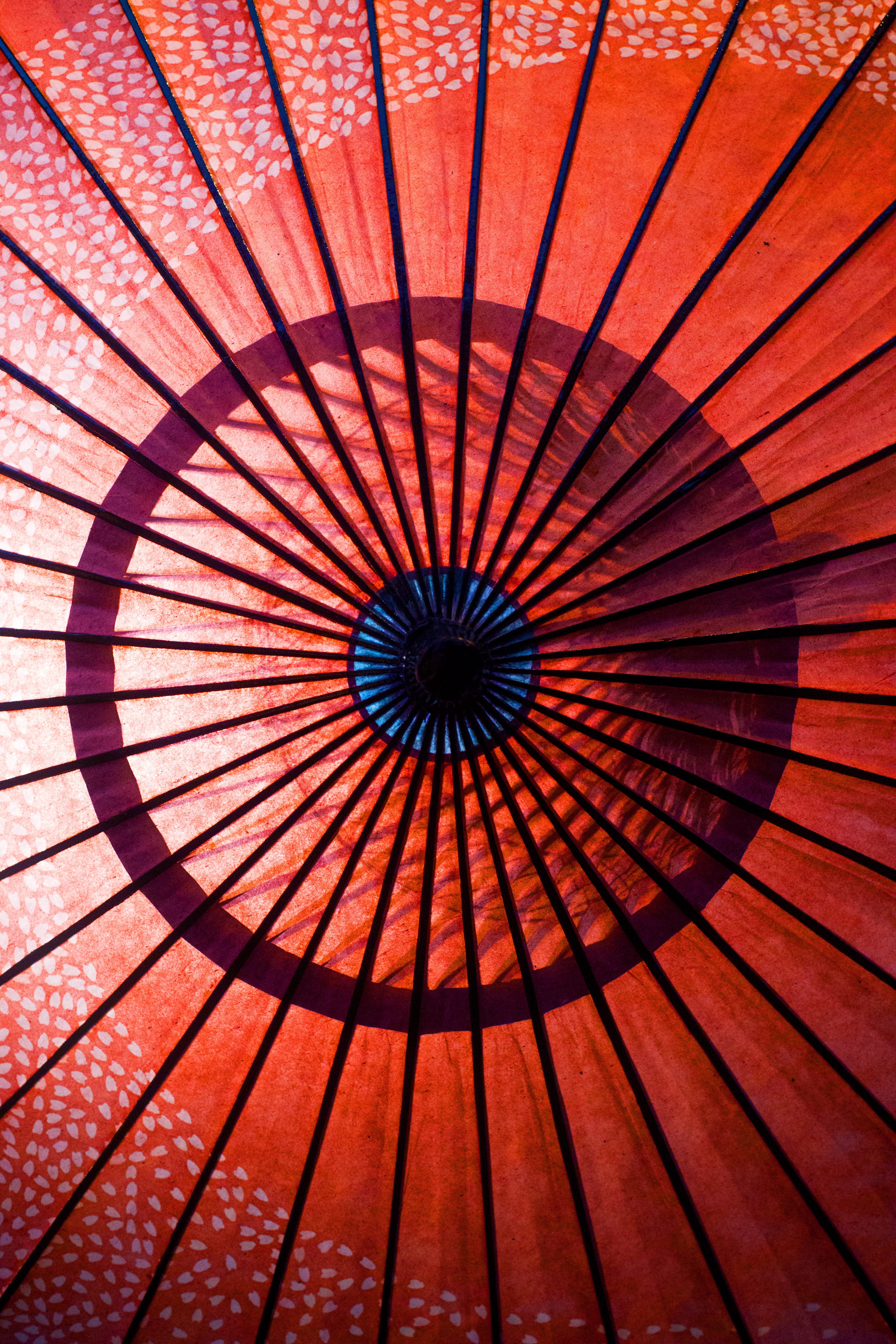 indoors, concentric, design, low angle view, day, style, shape, tradition, full frame, Japanese, red, geometric shape, umbrella, 5K, art and craft, decoration, Phone HD Wallpaper