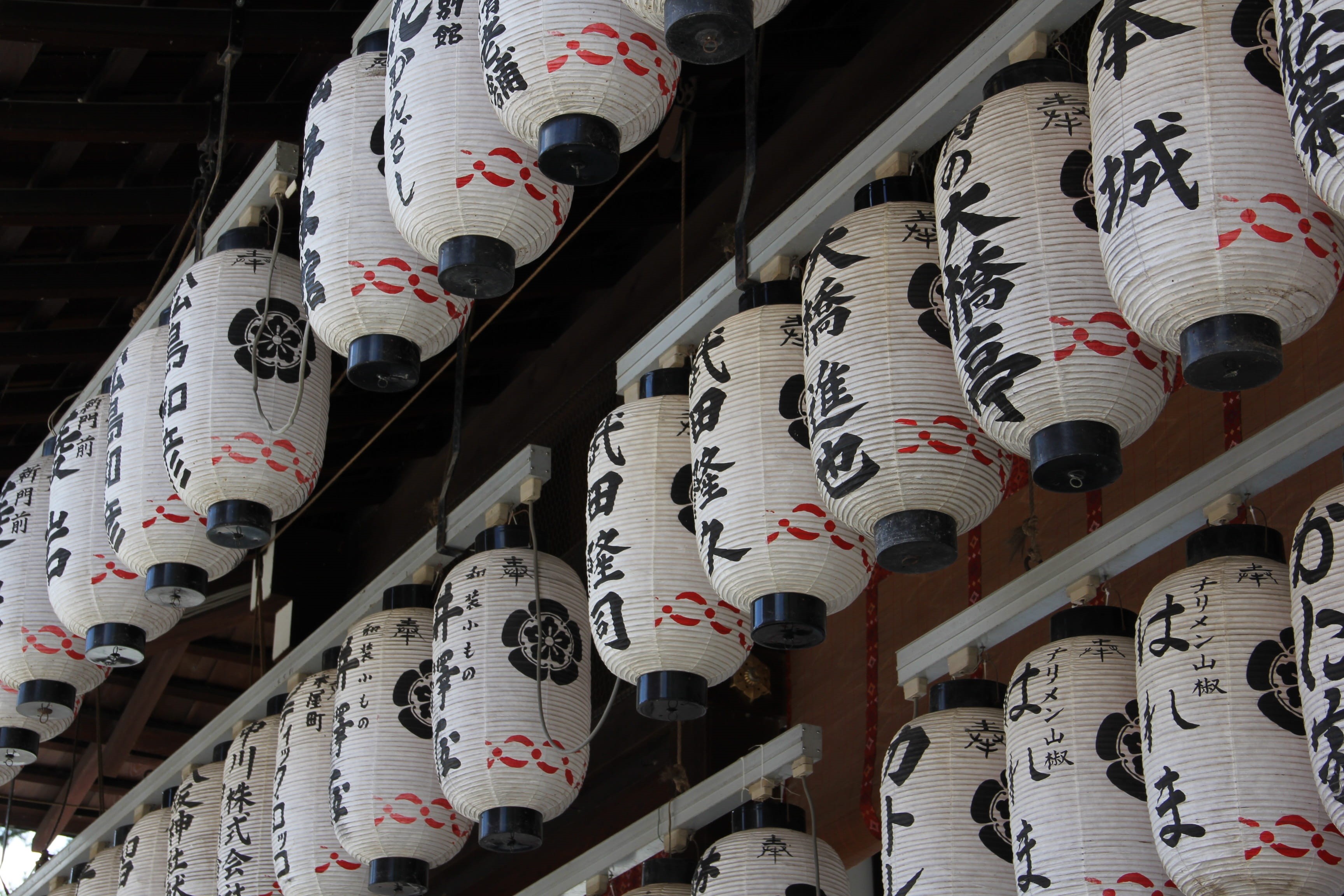 cultures, chinese Culture, japanese Culture, east Asian Culture, low angle view, Japan, asia, indoors, lantern, hanging, decoration, floral pattern, close-up, HD Wallpaper