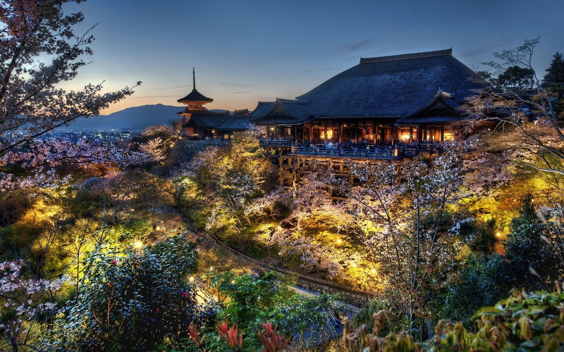 photography, Kiyomizu Dera, 1080P, temple, Japan, cityscape, plants, evening, urban, trees, HD Wallpaper