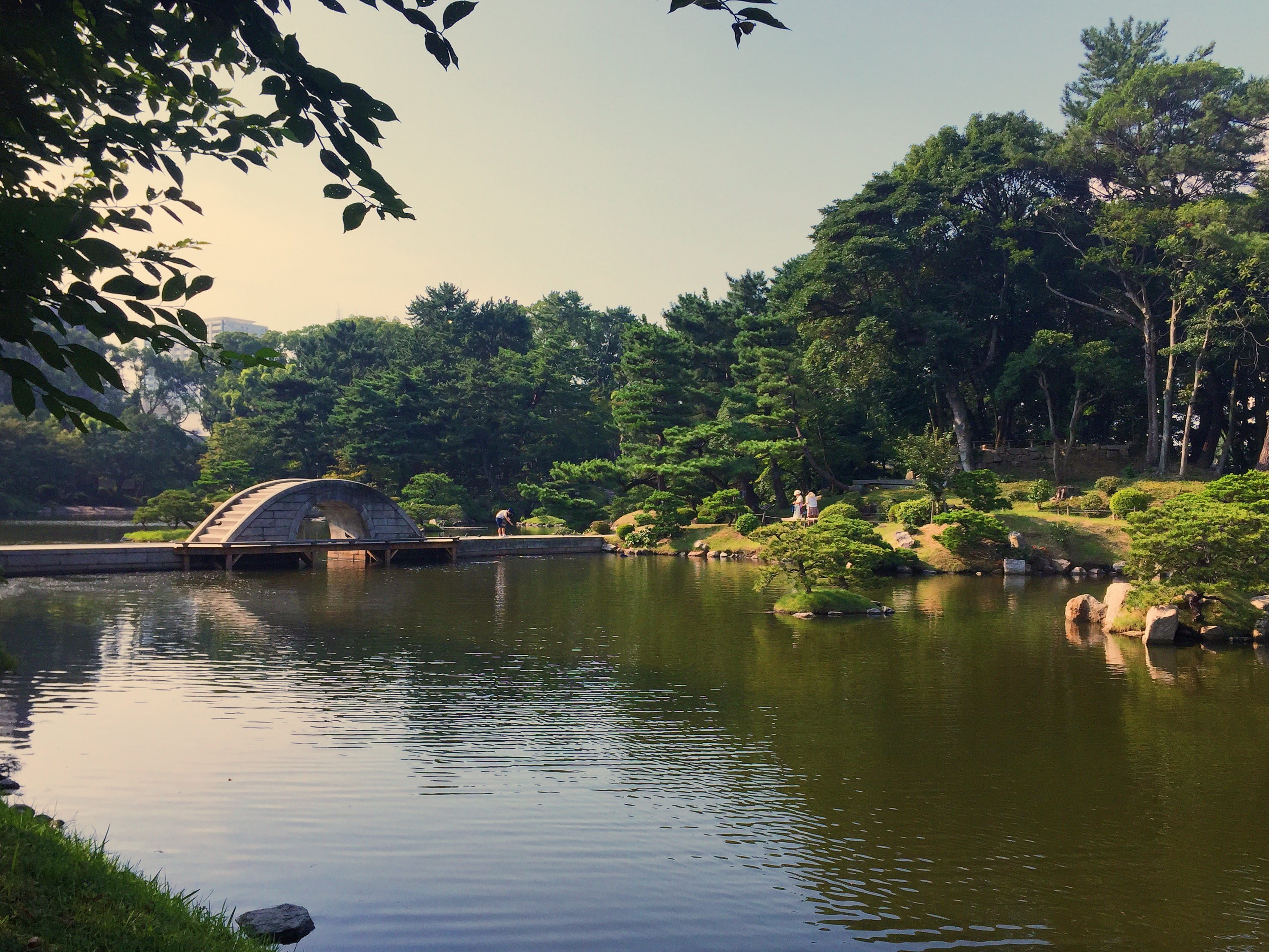 japanese, green, outdoors, plant, ivy barn, architecture, asia, 2K, nature, hiroshima prefecture, urban, tranquility, ivy barn blog, non-urban scene, shukkeien garden, HD Wallpaper