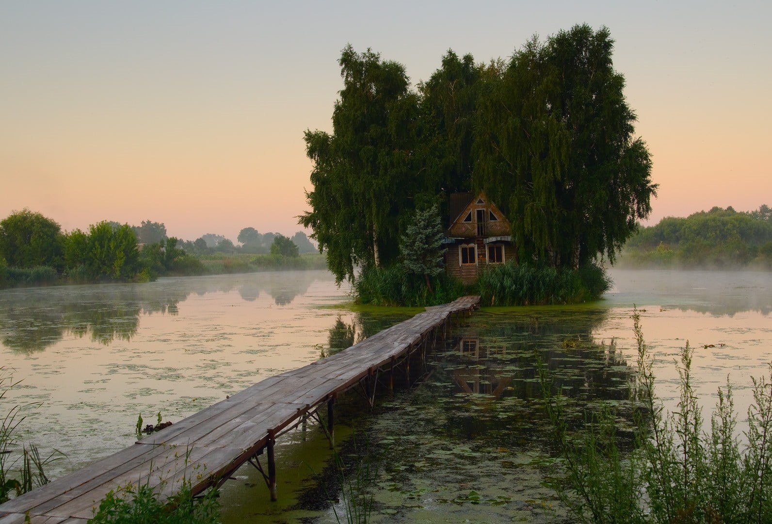 nature, plant, trees, cabin, architecture, tree, island, 720P, non-urban scene, sunset, surrounded, reflection, bridge, water, house, outdoors, growth, HD Wallpaper