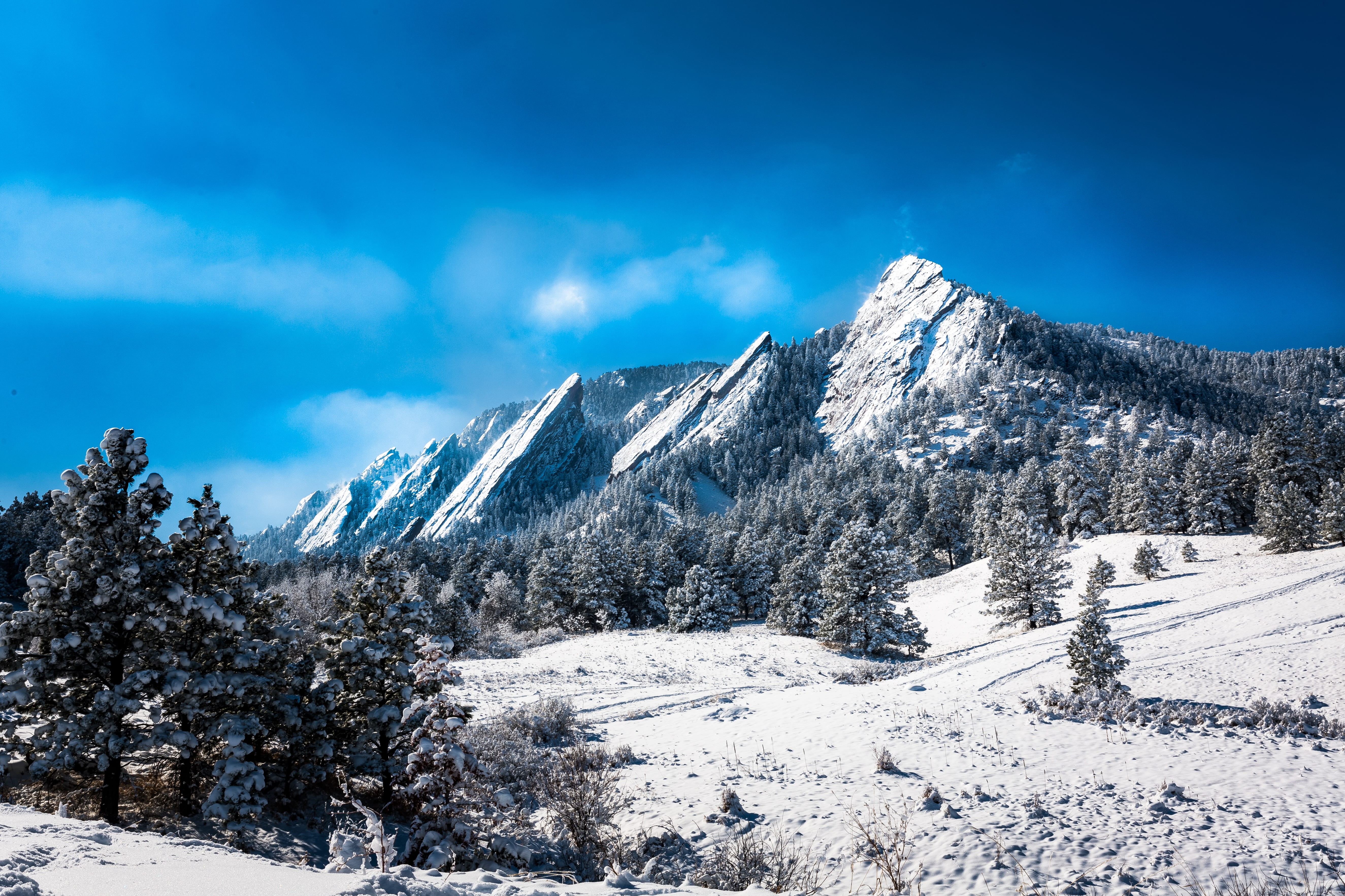 land, pine tree, flatiron, pine woodland, snowcapped mountain, evergreen tree, sky, scenics - nature, environment, woodland, colorado, beauty in nature, HD Wallpaper
