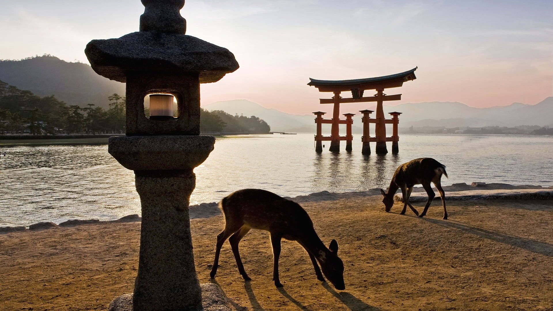 china - East Asia, walk, architecture, chinese Culture, deers, two, pavilion, famous Place, journey, tranquility, red, sky, travel Destinations, land, tranquil scene, HD Wallpaper