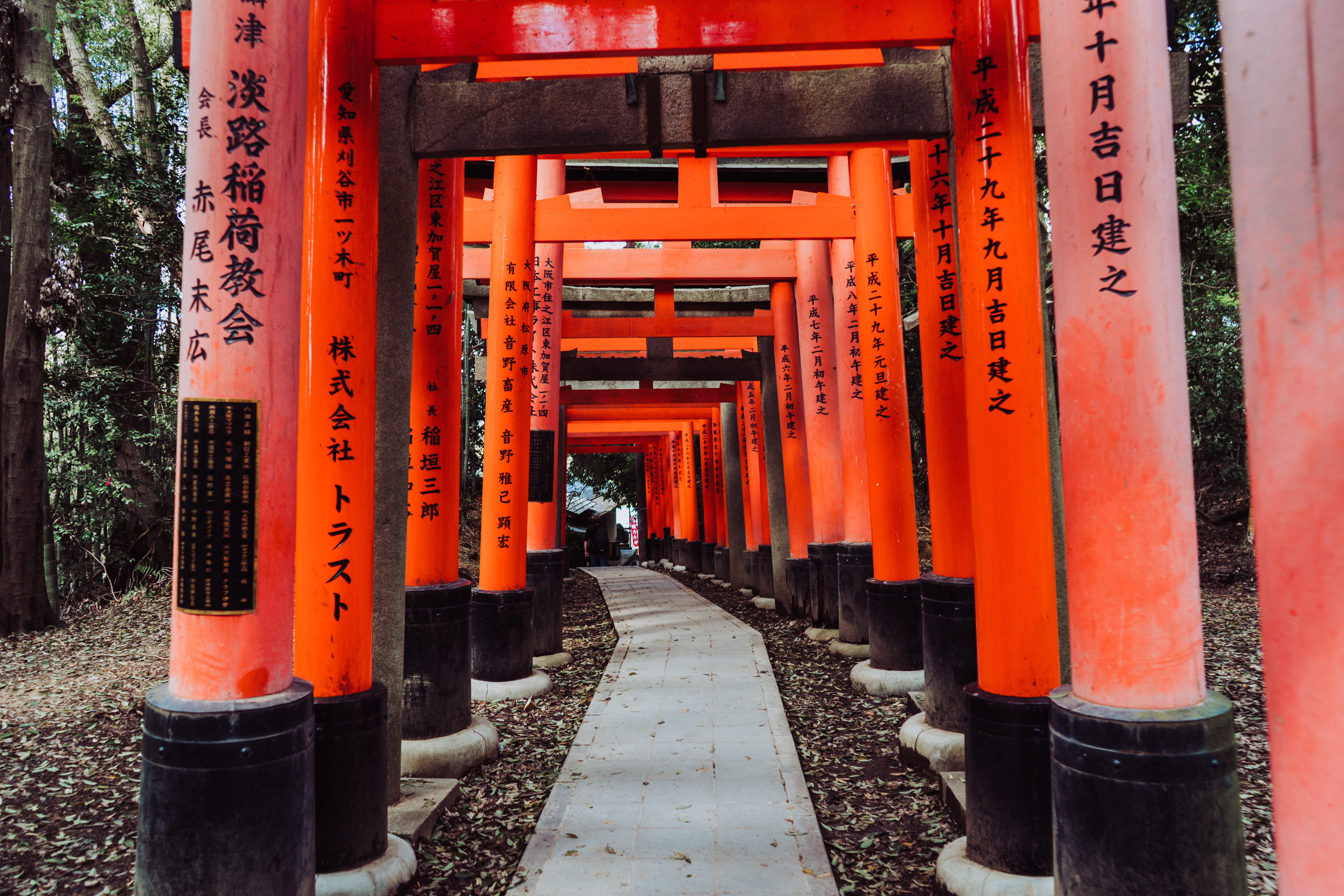 kyoto, communication, gate, worship, spirituality, built structure, non-western script, office building, diminishing perspective, orange color, in a row, HD Wallpaper