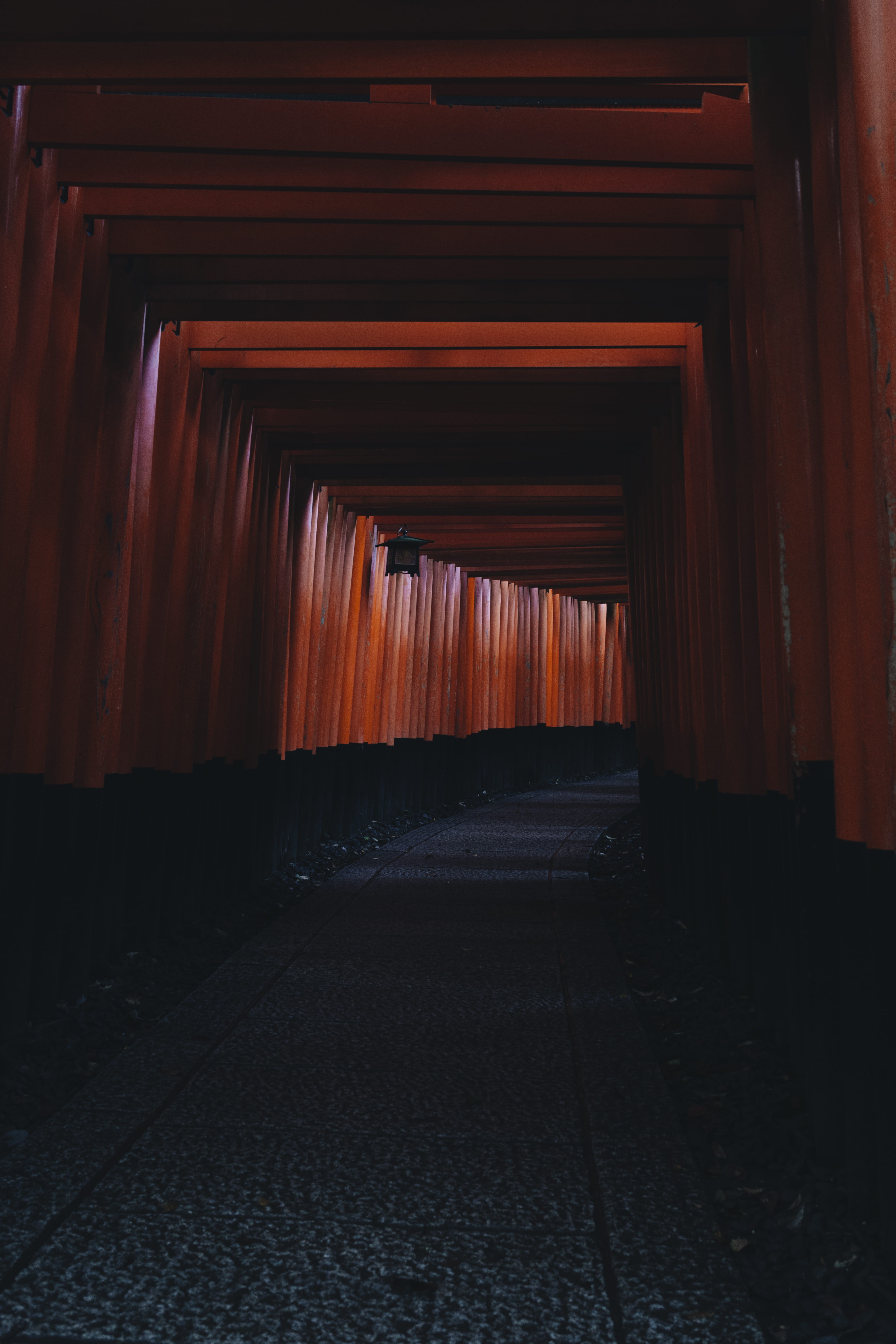 in a row, the way forward, built structure, shrine, diminishing perspective, wood - material, indoors, fushimiinaritaisha, direction, red, travel, wooden, Phone HD Wallpaper