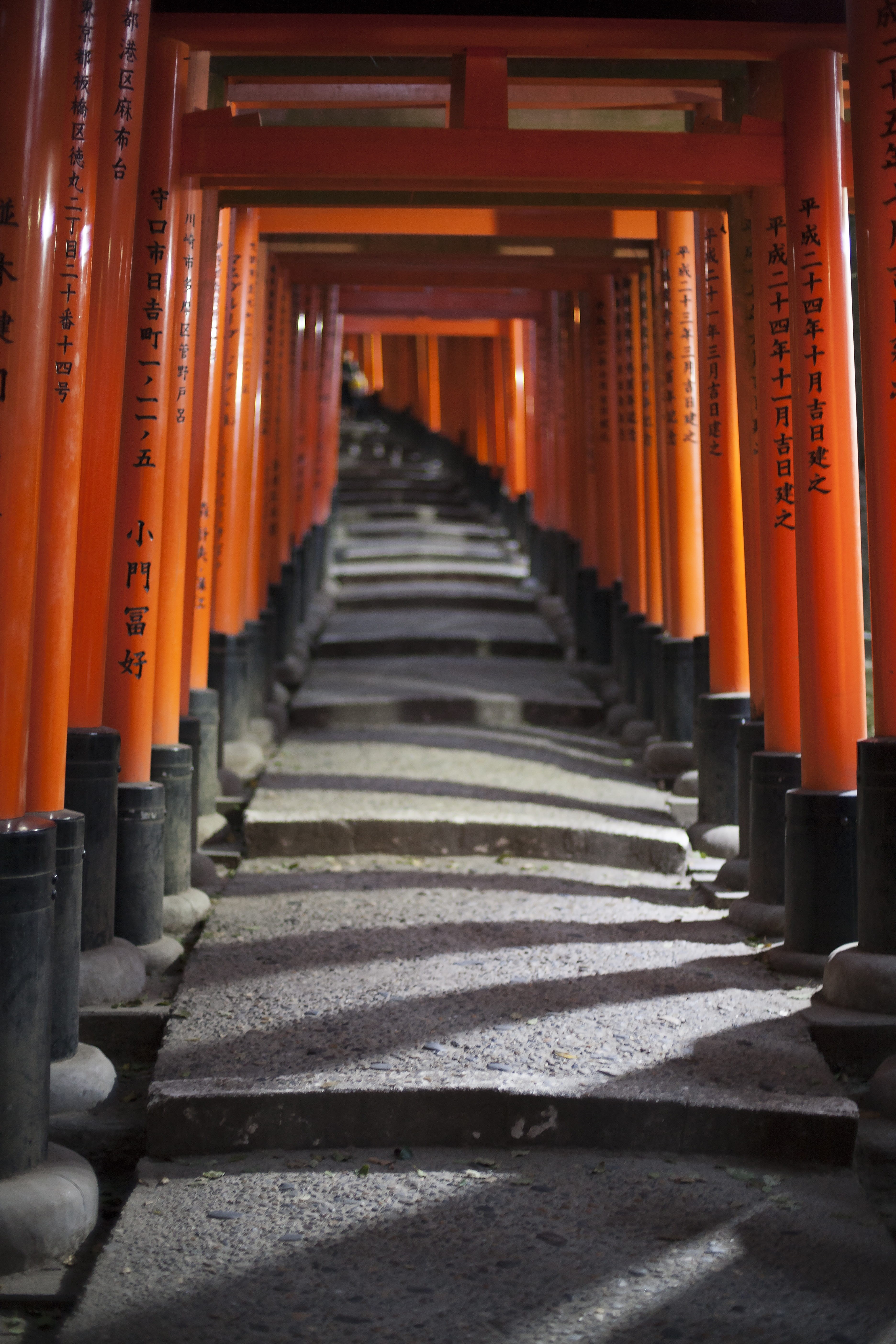 building, built structure, architectural column, the way forward, gate, in a row, direction, japan, architecture, religion, belief, shrine, repetition, Phone HD Wallpaper