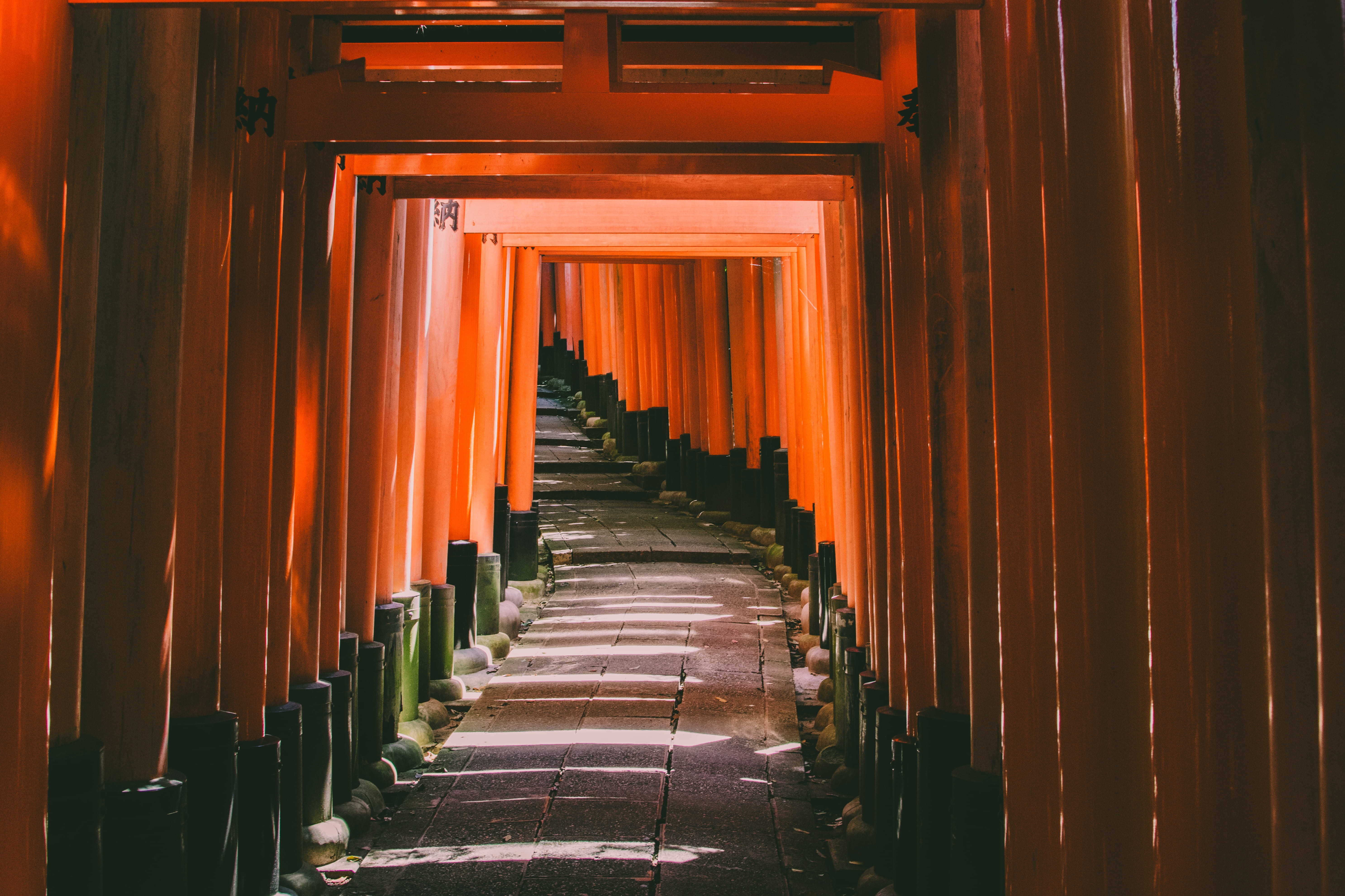 the way forward, red, tunnel, wooden, building, archway, tori, belief, temple, in a row, kyoto, indoors, place of worship, built structure, direction, repetition, HD Wallpaper