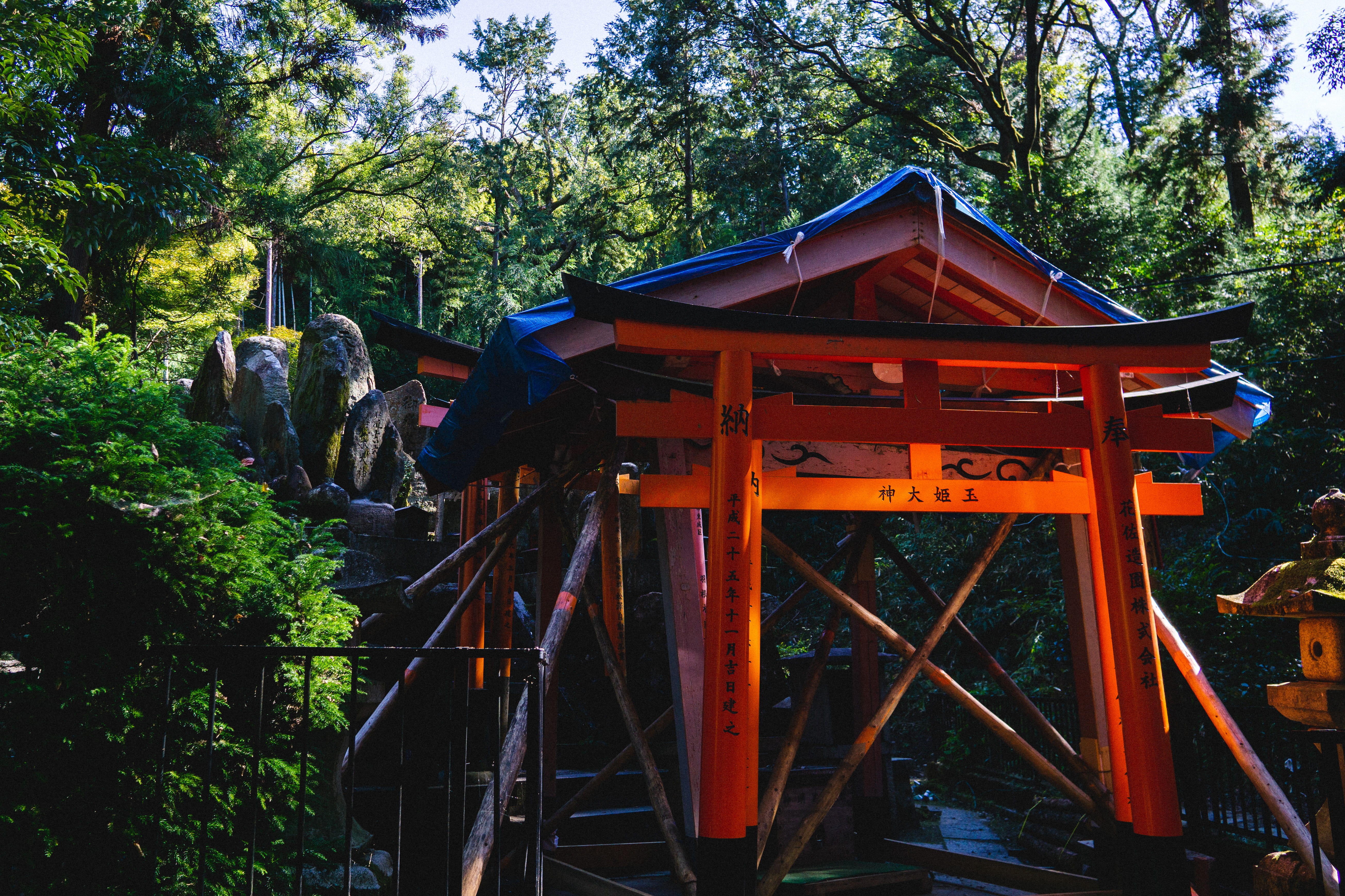 kyoto, built structure, garden, patio, belief, tree, animal, tranquility, 5K, theme park, tori, forest, fushimi inari-taisha, text, field, arbour, pergola, HD Wallpaper