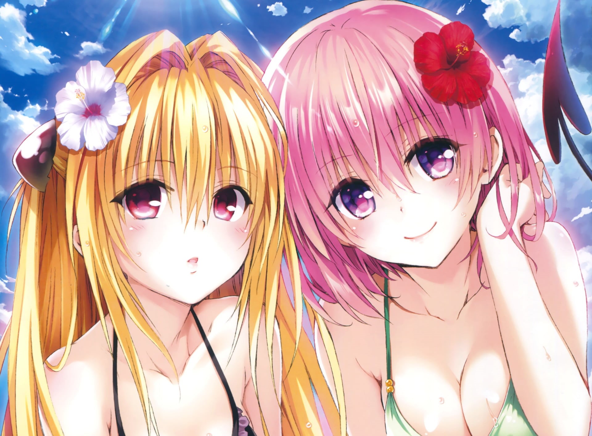 indoors, Anime, women, Golden Darkness, portrait, hairstyle, human representation, pink color, To Love-Ru, creativity, day, Momo Velia Deviluke, art and craft, HD Wallpaper