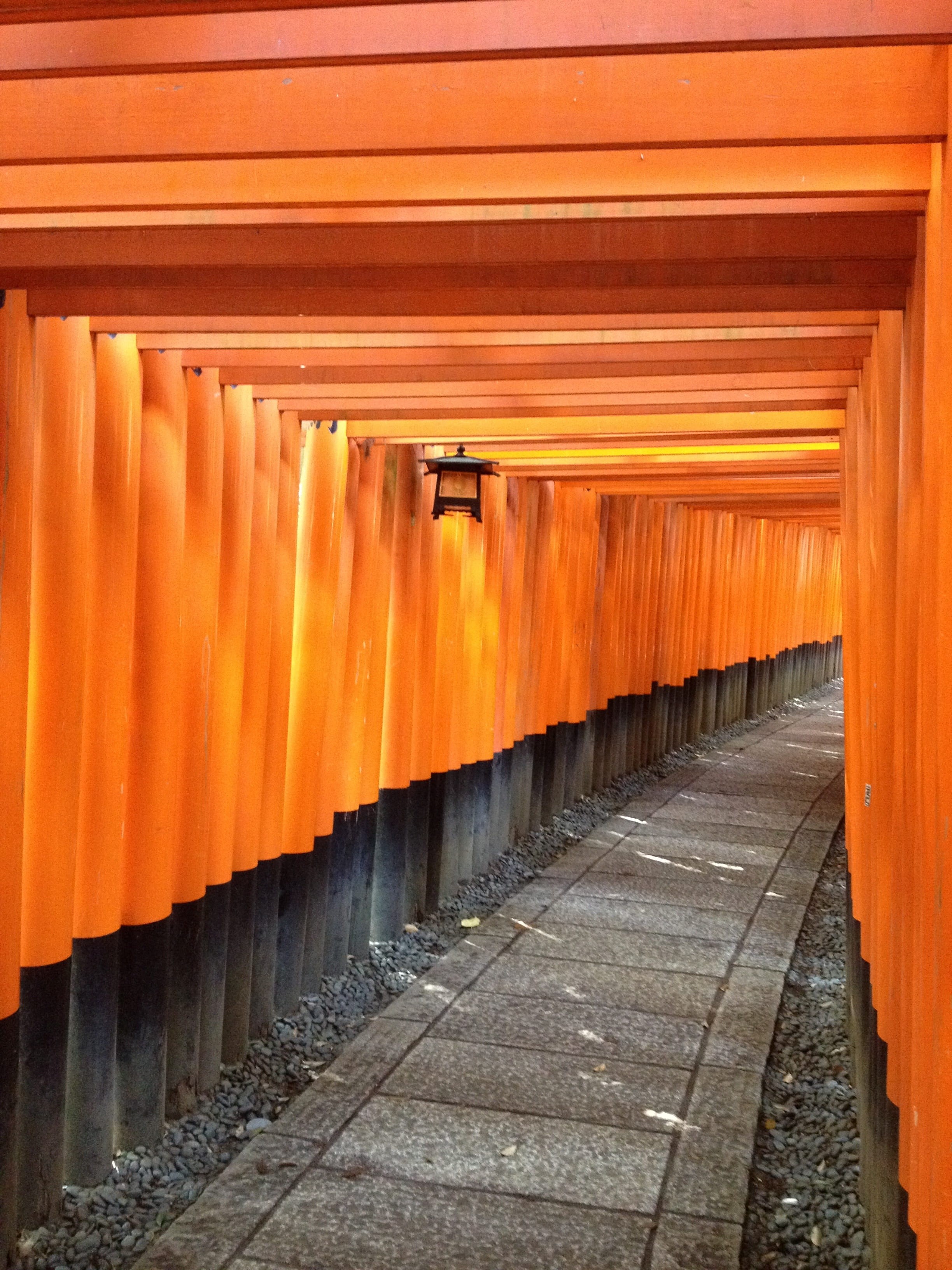 orange, in a row, wood - material, no people, direction, religion, city, 2K, spirituality, torii, fushimi inari shrine, architecture, built structure, Phone HD Wallpaper